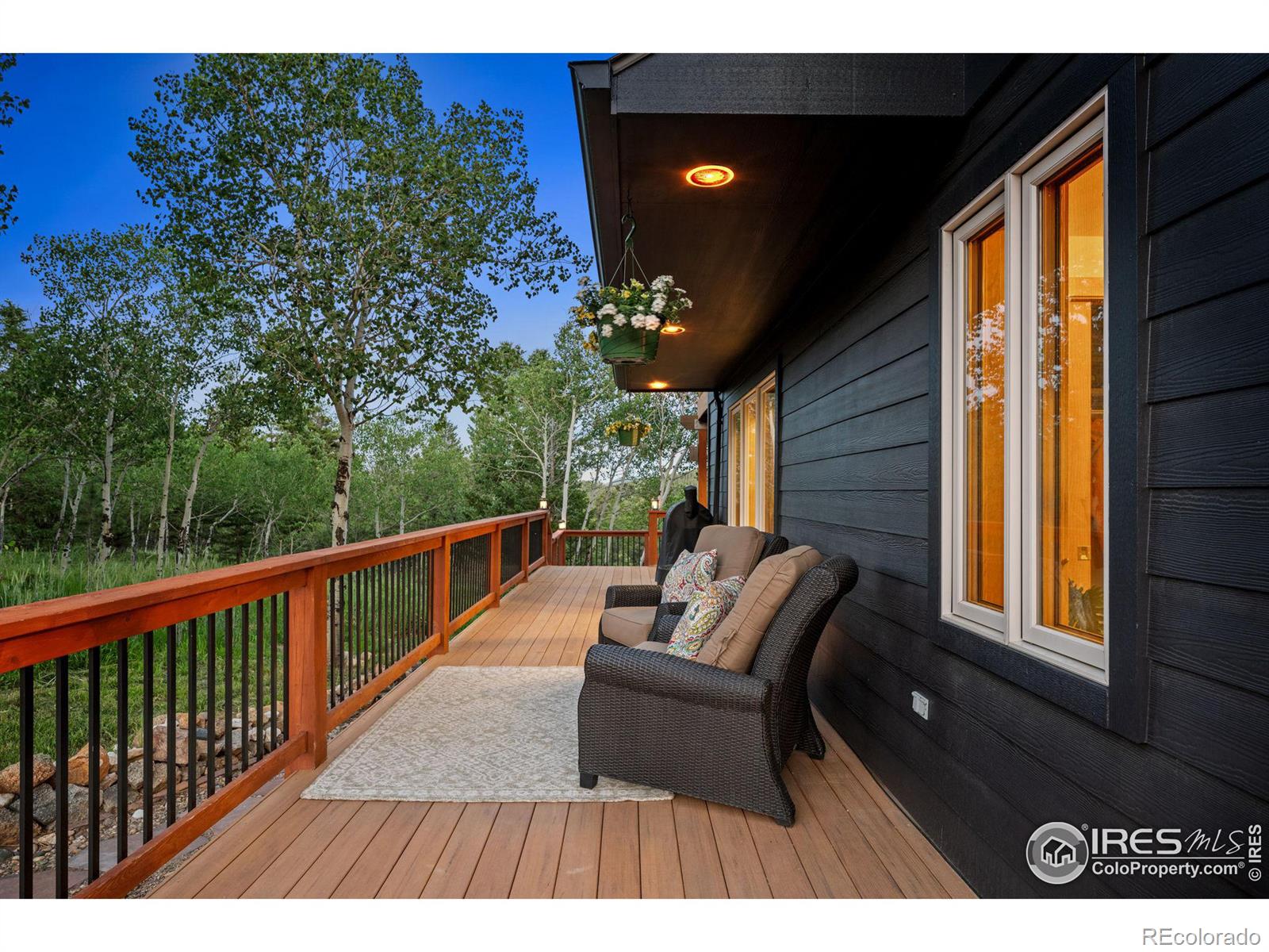 MLS Image #8 for 73  aspen meadows road,nederland, Colorado