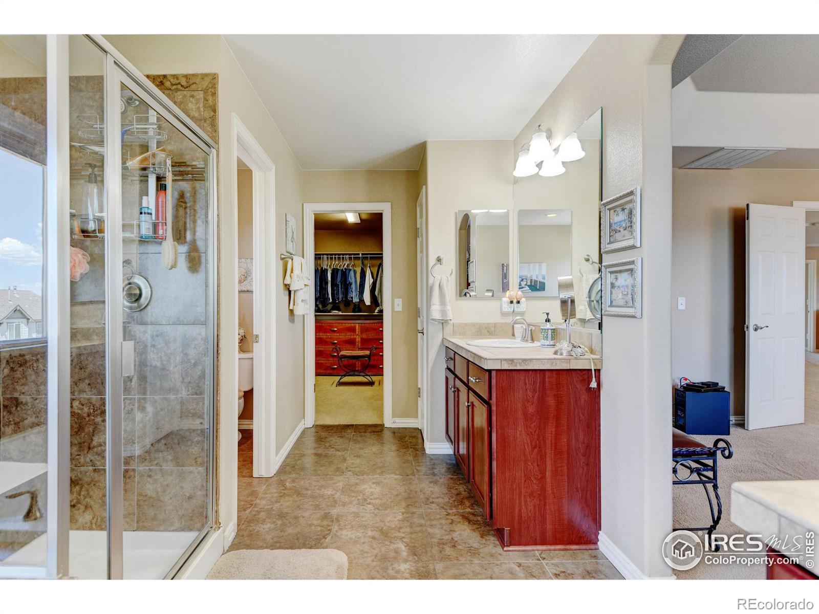 MLS Image #26 for 12233  roslyn street,thornton, Colorado