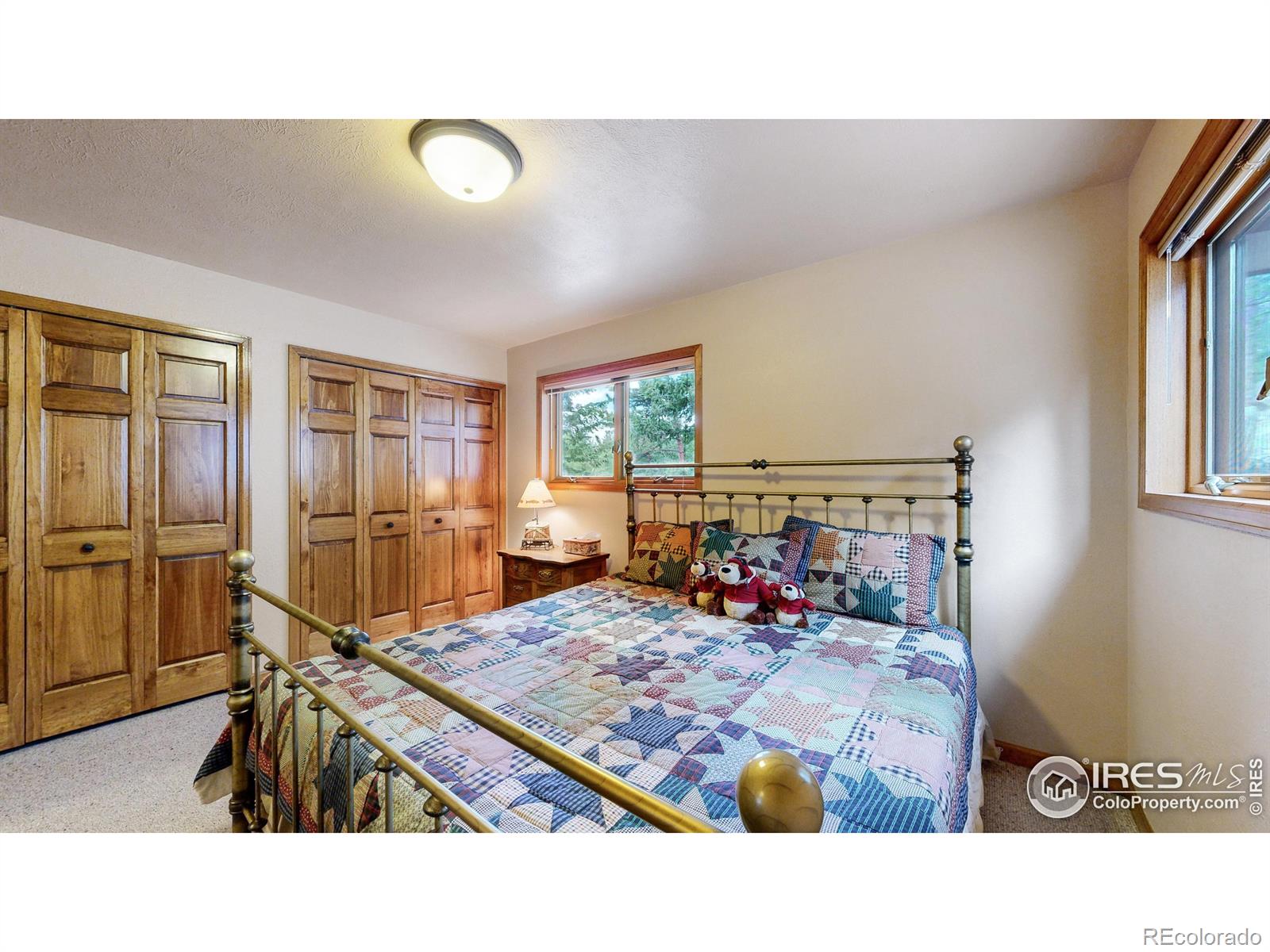 MLS Image #10 for 85  mount guero court,livermore, Colorado