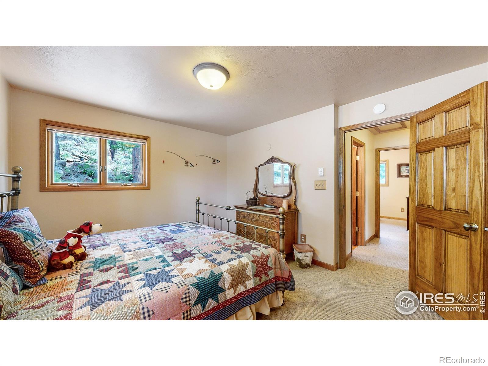 MLS Image #11 for 85  mount guero court,livermore, Colorado