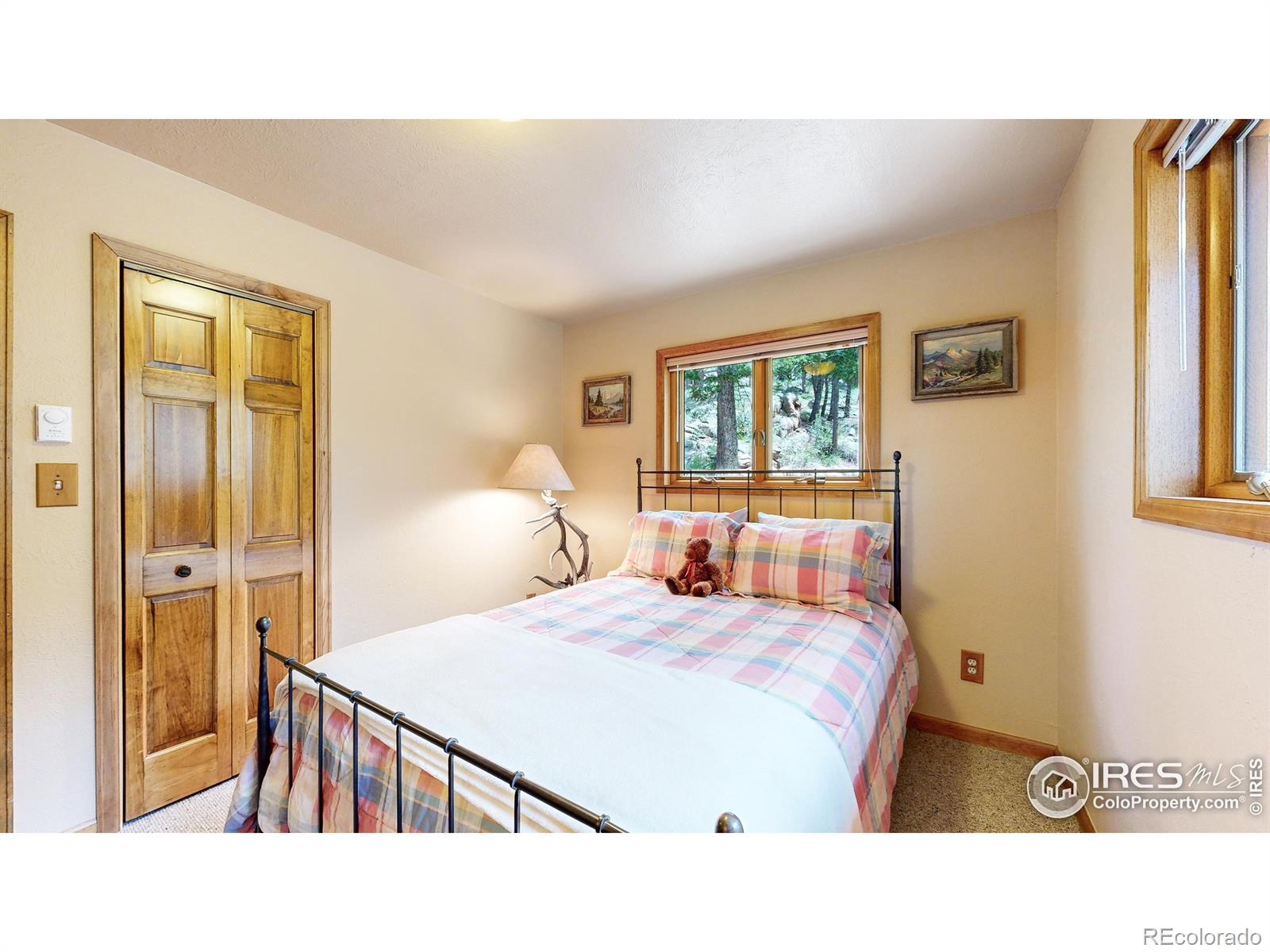 MLS Image #14 for 85  mount guero court,livermore, Colorado