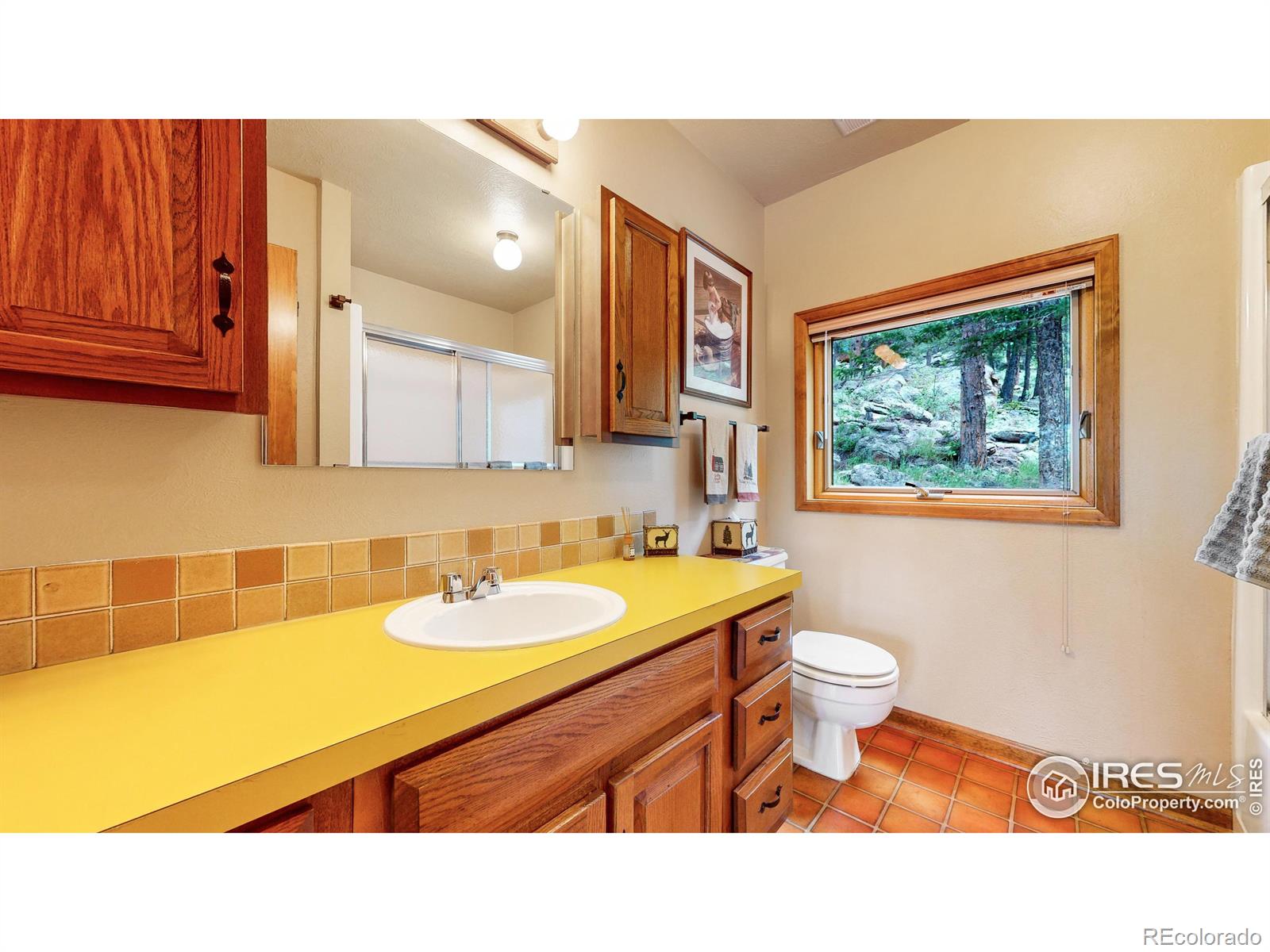 MLS Image #20 for 85  mount guero court,livermore, Colorado