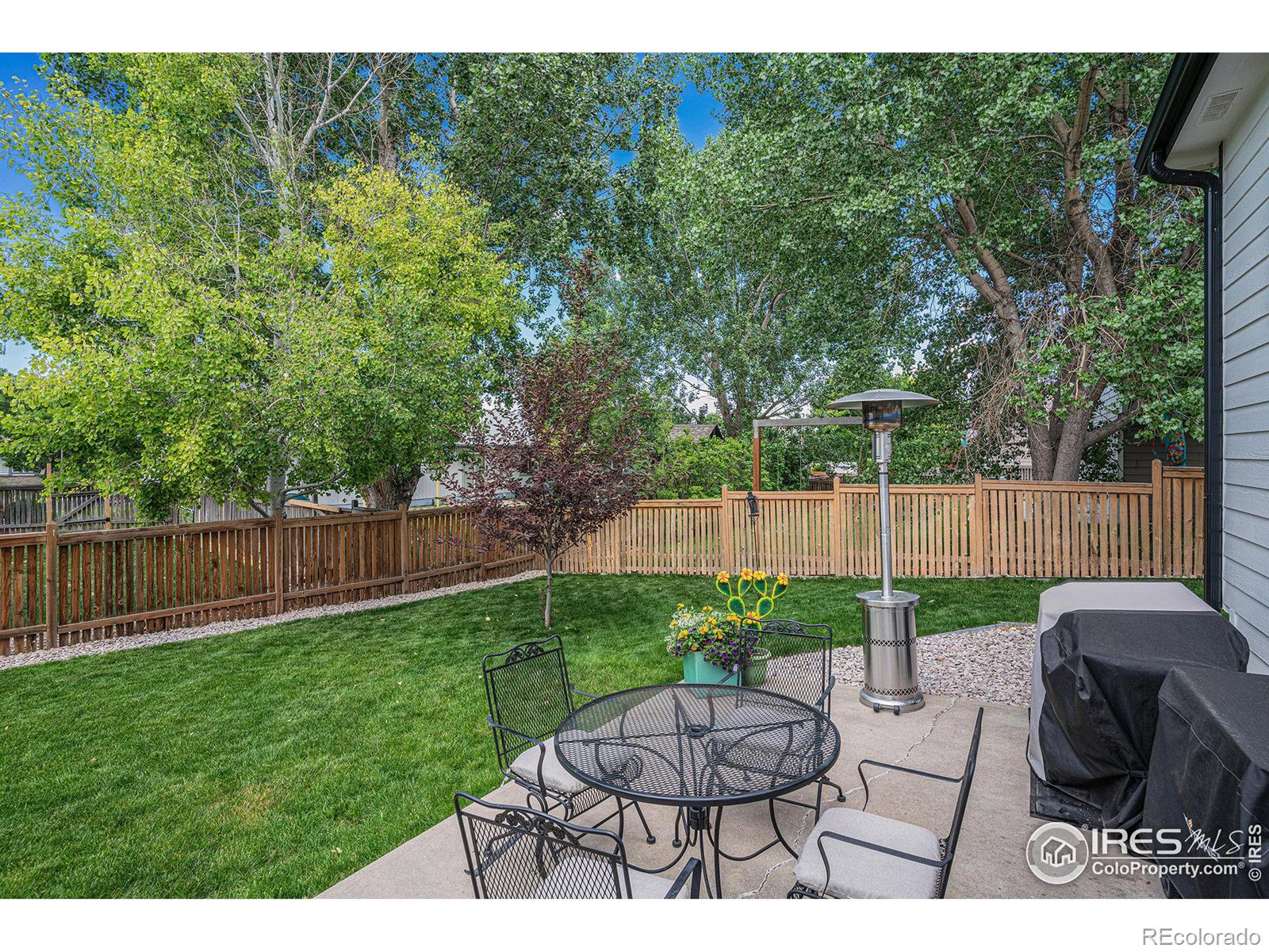 MLS Image #1 for 4172  rocky ford drive,loveland, Colorado