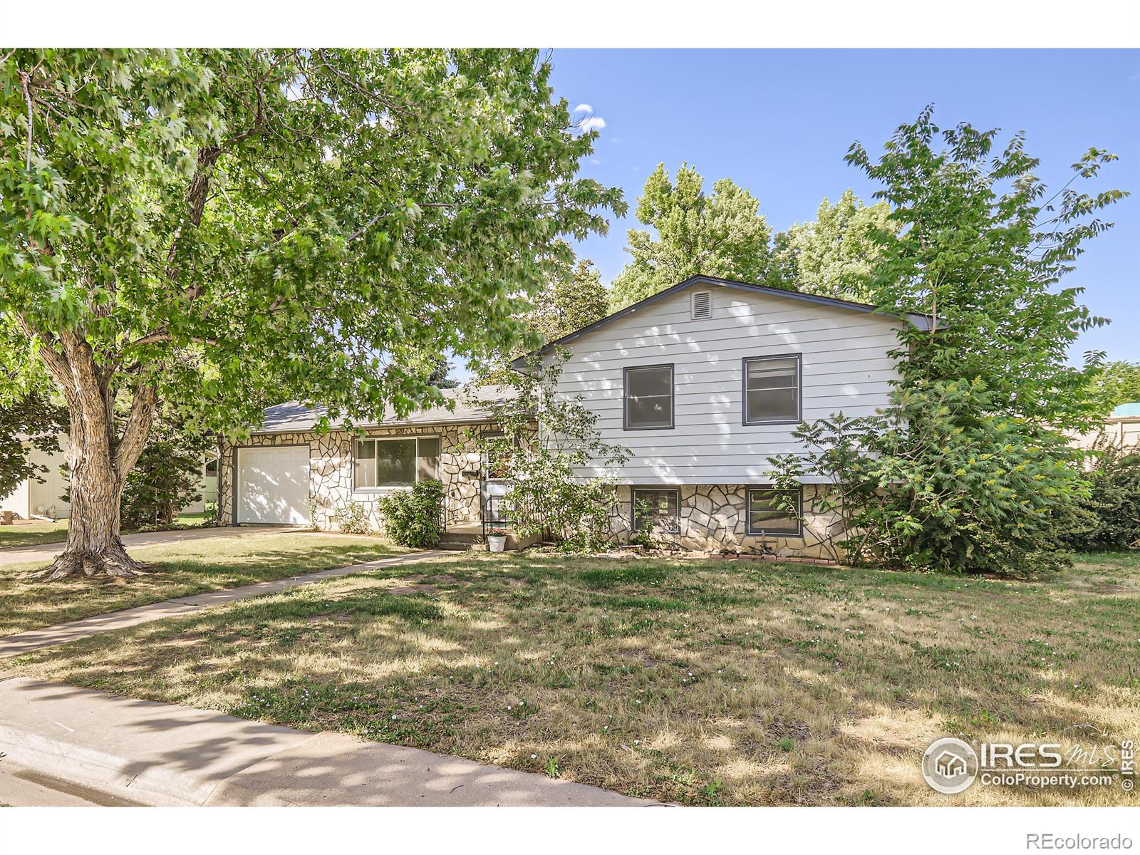 Report Image for 1036  Montview Road,Fort Collins, Colorado