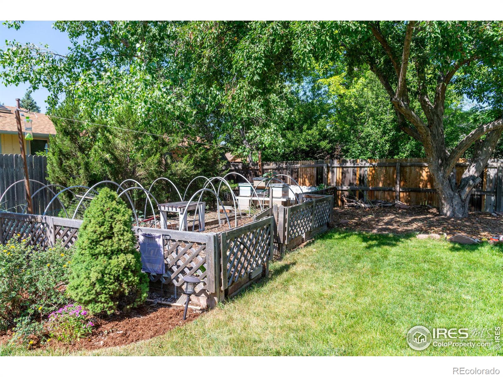 MLS Image #29 for 7180  mount sherman road,longmont, Colorado