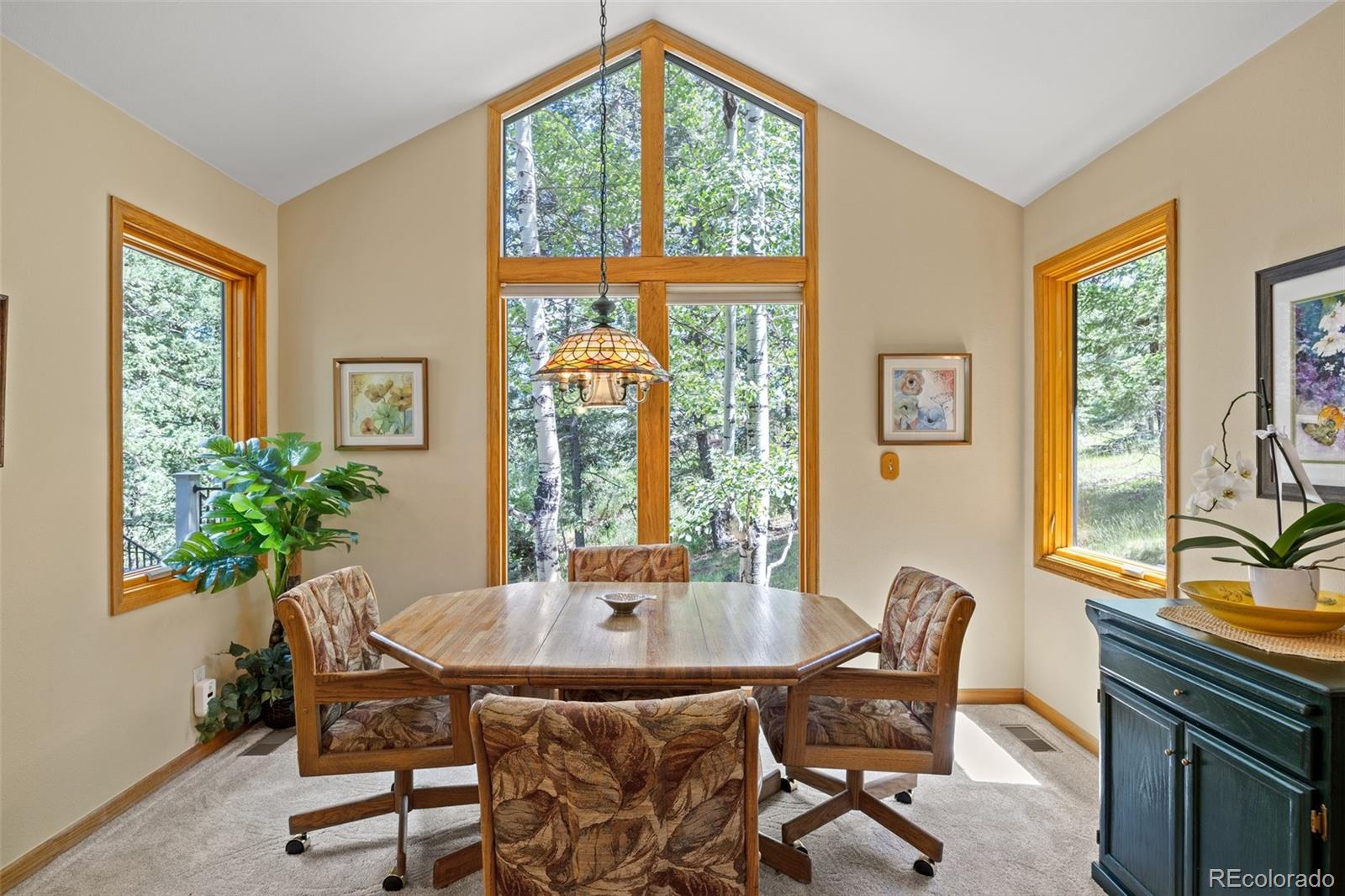 MLS Image #7 for 266  cottonwood drive,evergreen, Colorado