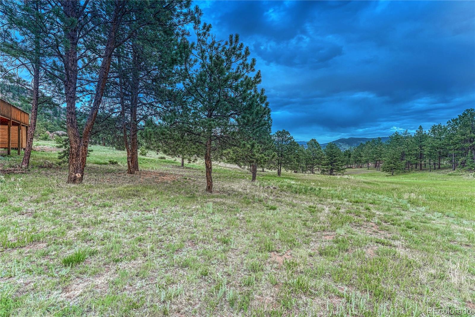 MLS Image #41 for 1441  high chateau road,florissant, Colorado