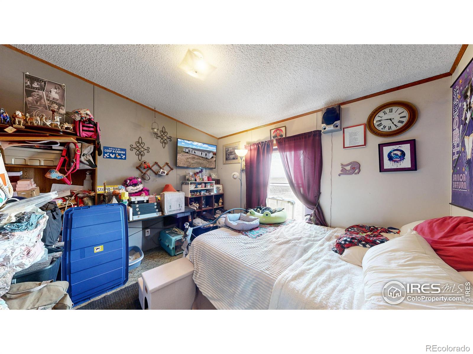 MLS Image #12 for 48532  county road 39 ,nunn, Colorado