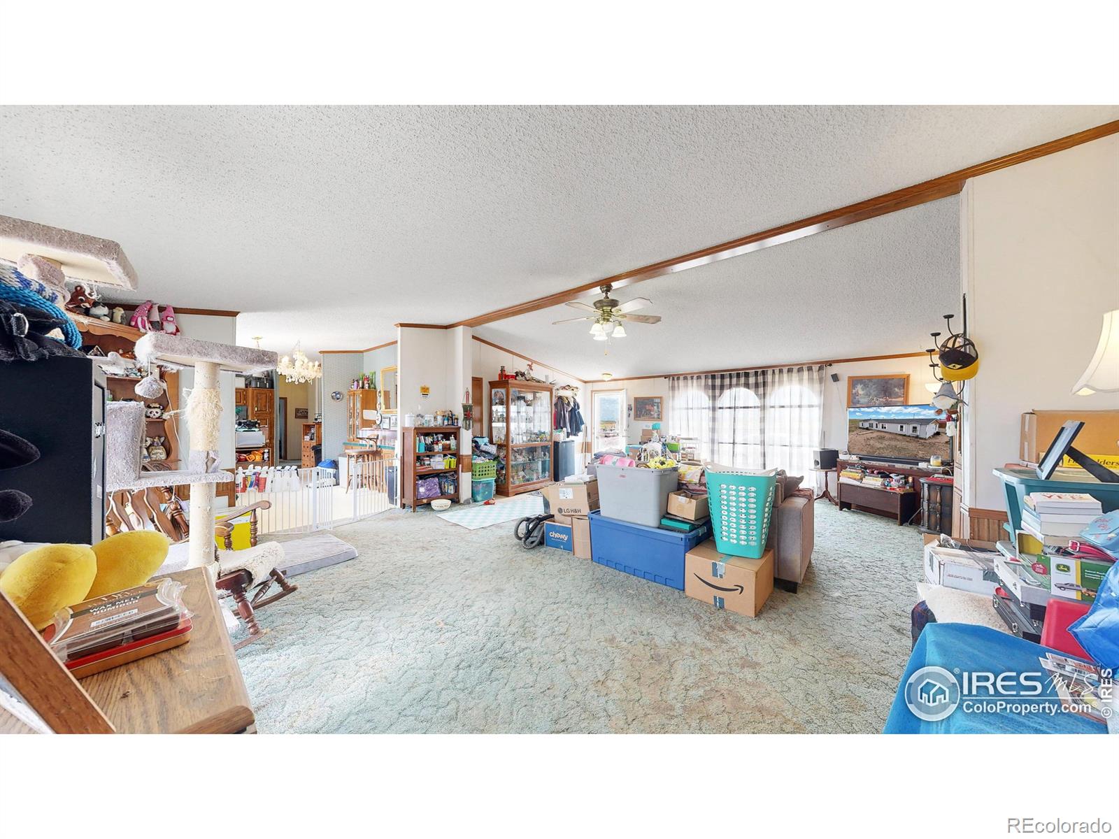 MLS Image #3 for 48532  county road 39 ,nunn, Colorado