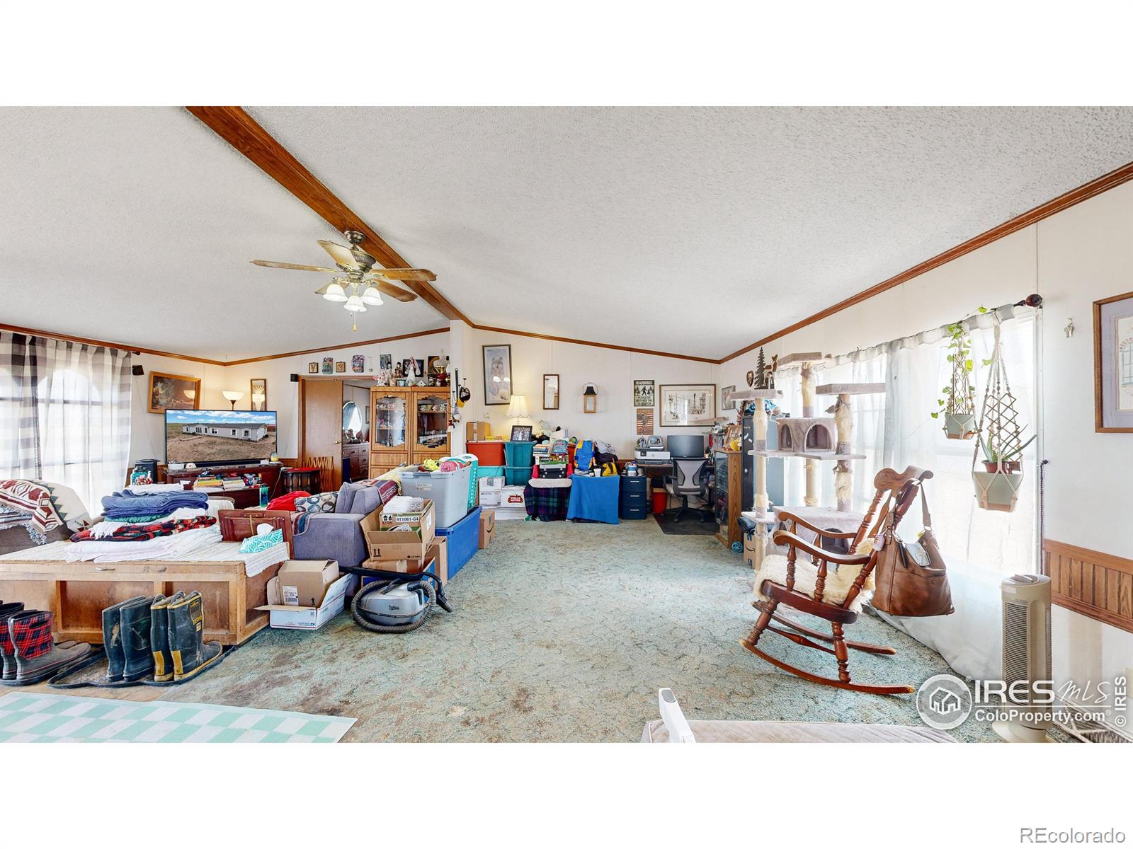 MLS Image #5 for 48532  county road 39 ,nunn, Colorado