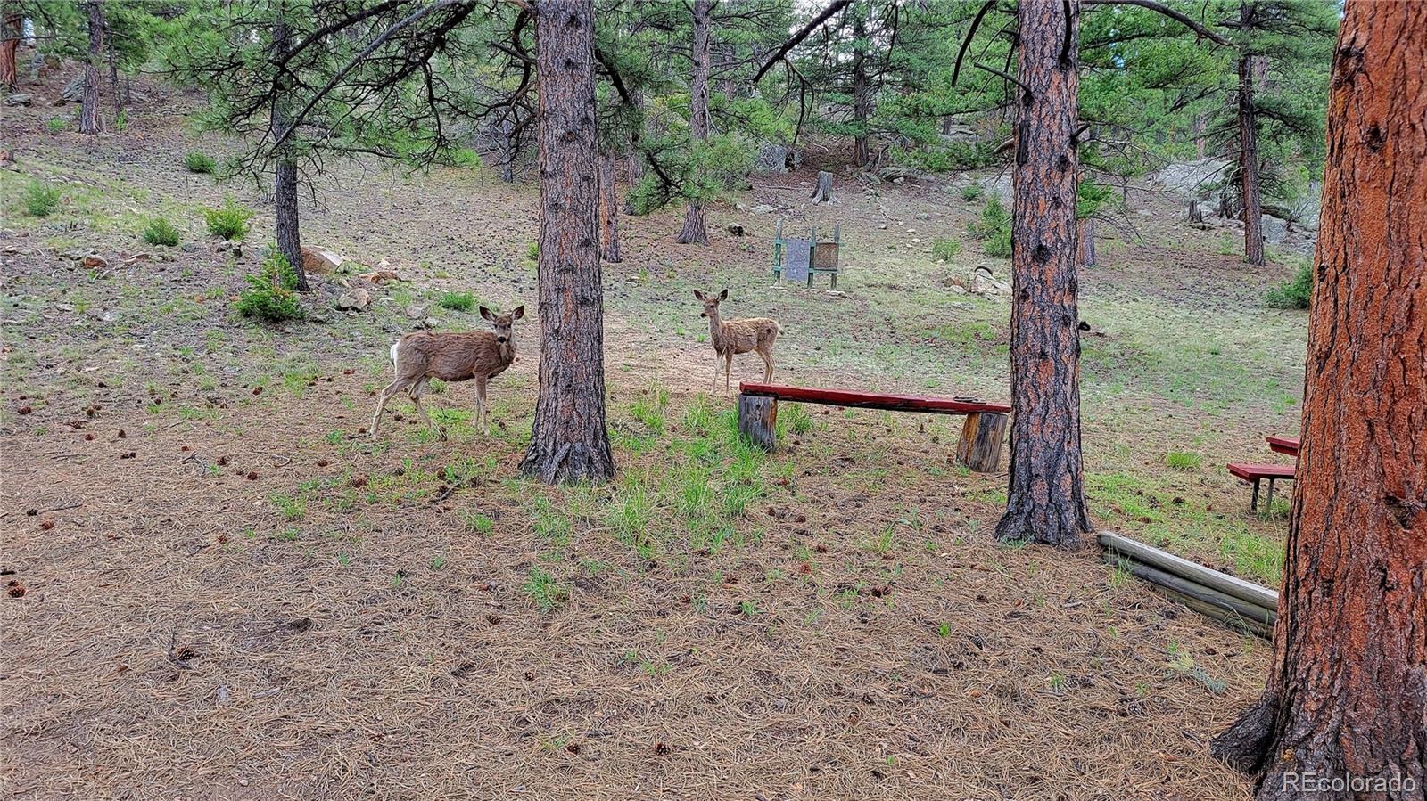 MLS Image #11 for 116  linda lane,westcliffe, Colorado