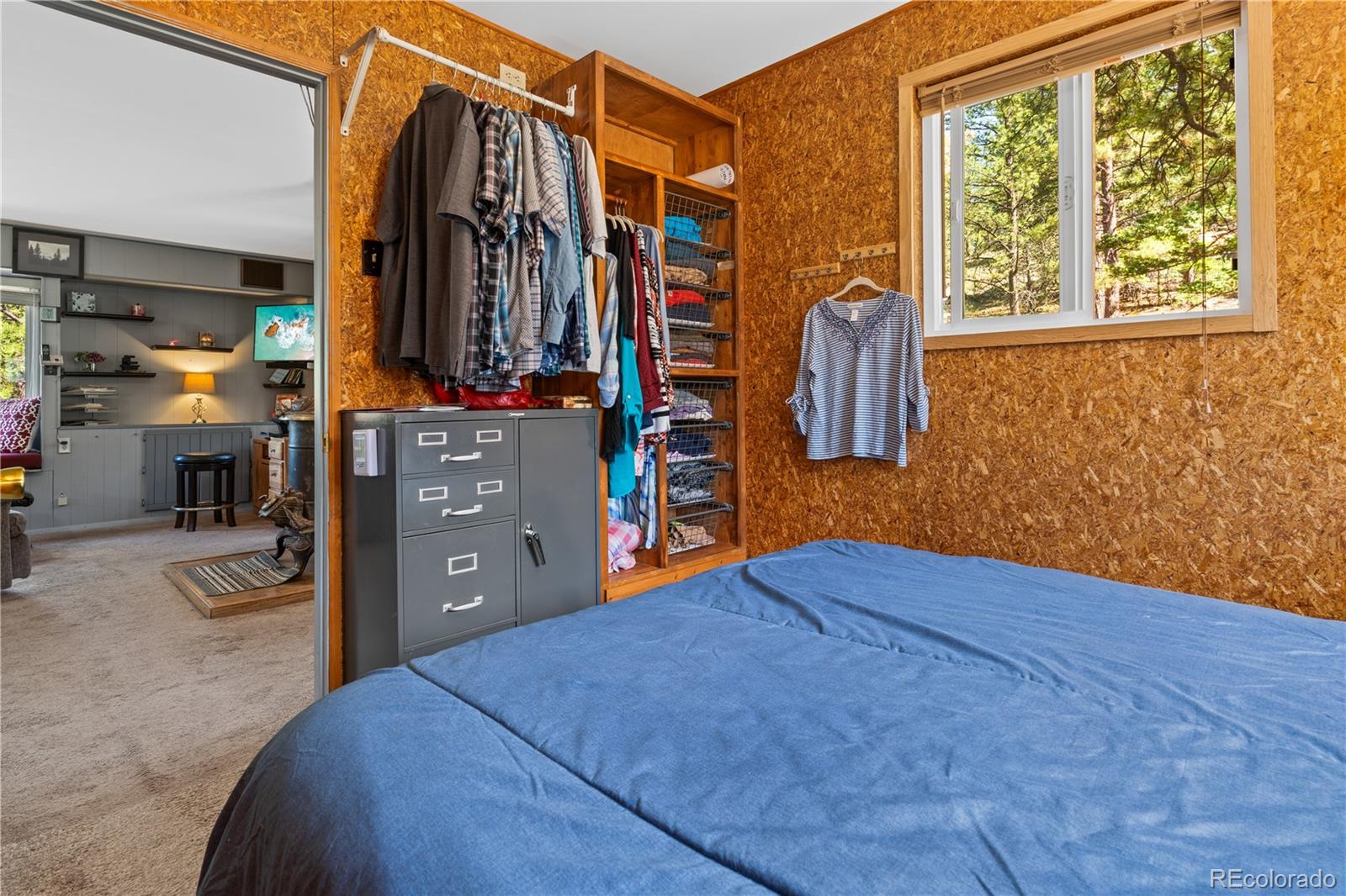 MLS Image #21 for 116  linda lane,westcliffe, Colorado