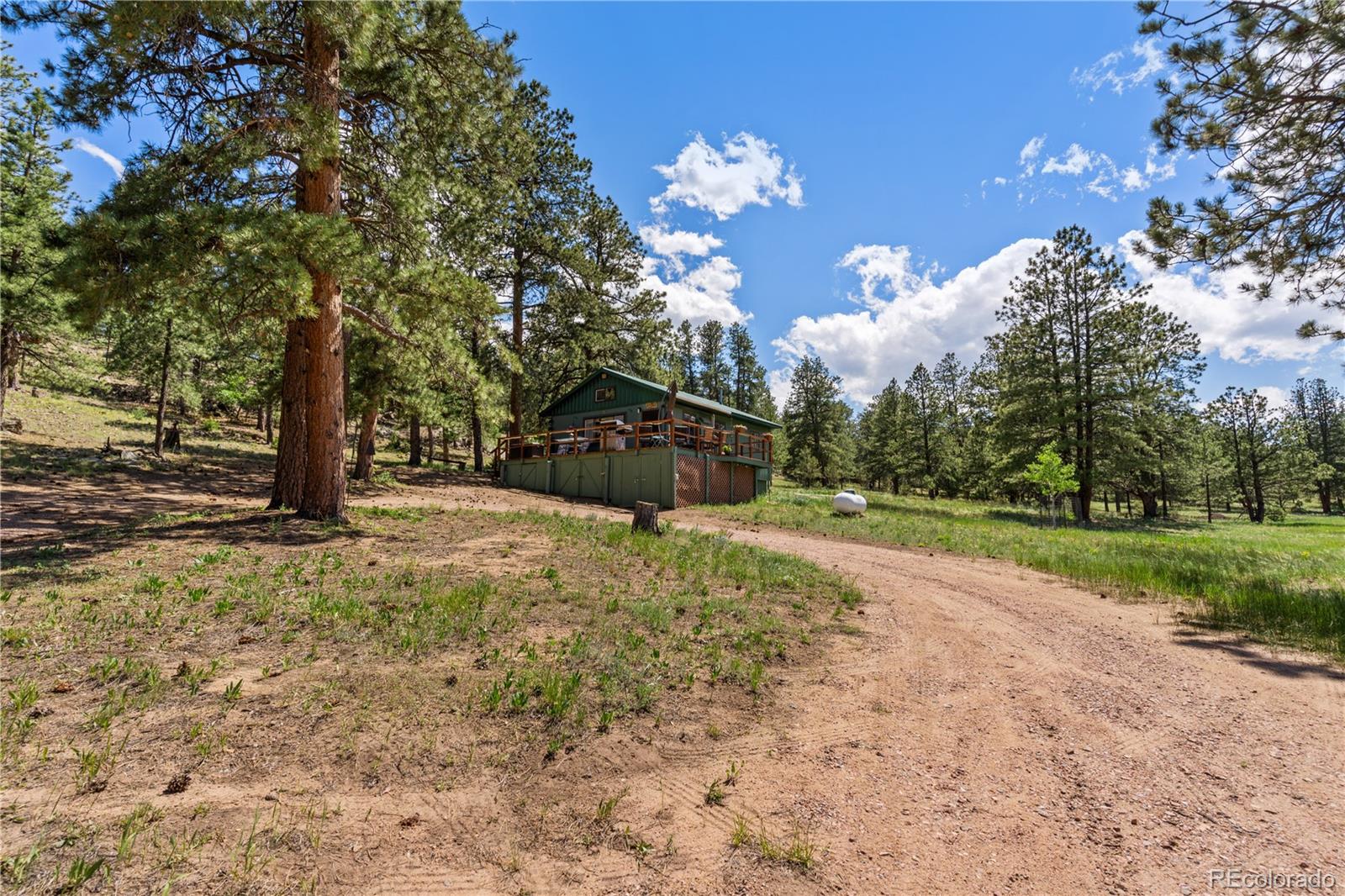 MLS Image #7 for 116  linda lane,westcliffe, Colorado