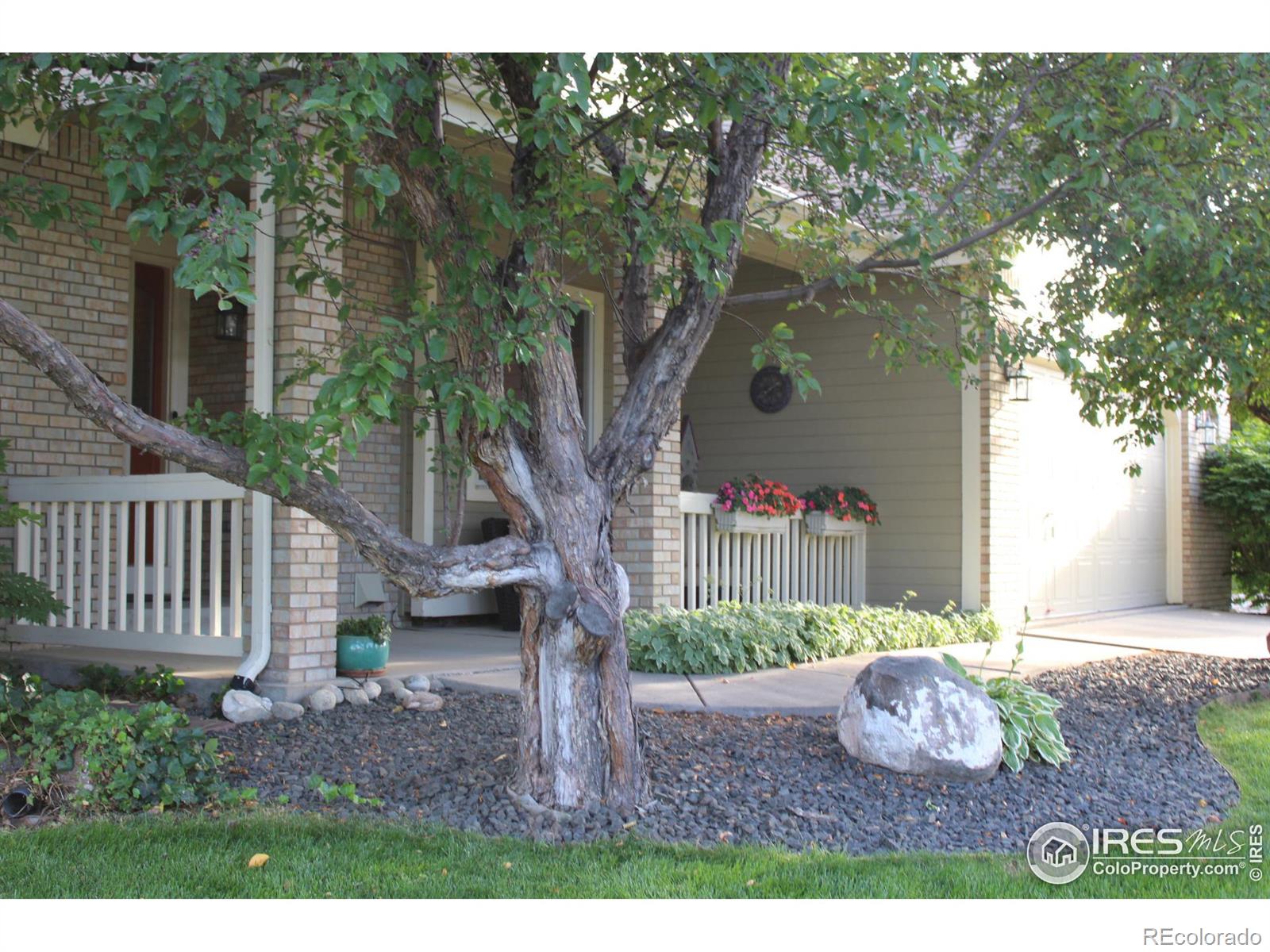 CMA Image for 1748  silvergate road,Fort Collins, Colorado