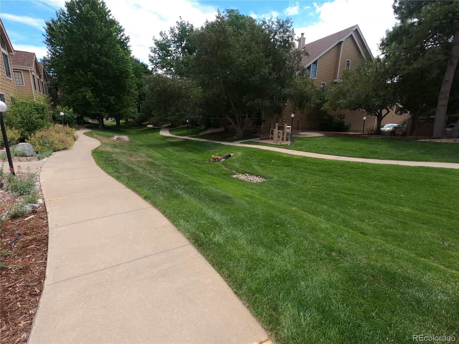 MLS Image #21 for 5914  gunbarrel avenue,boulder, Colorado