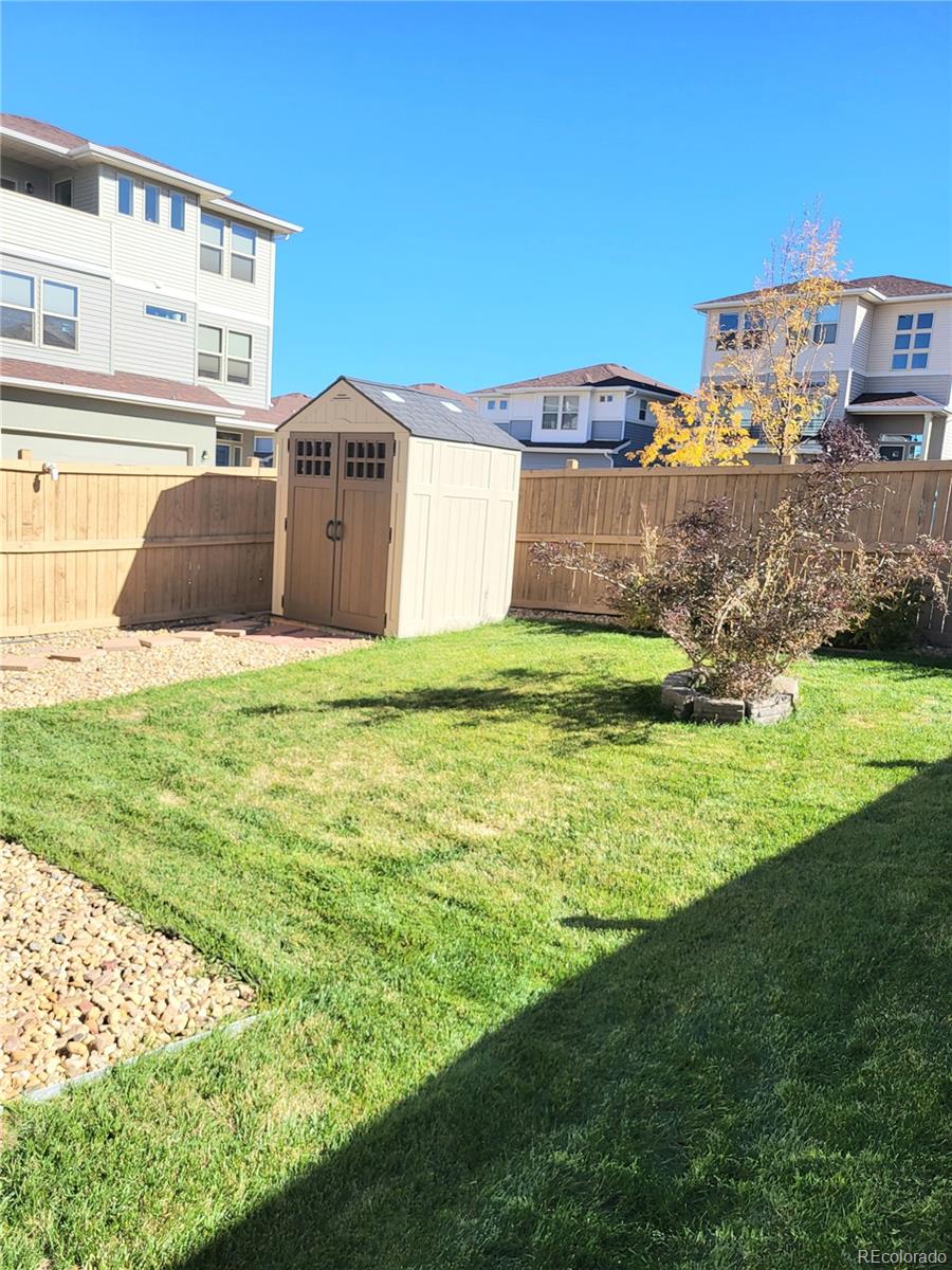 MLS Image #22 for 3724  celestial avenue,castle rock, Colorado