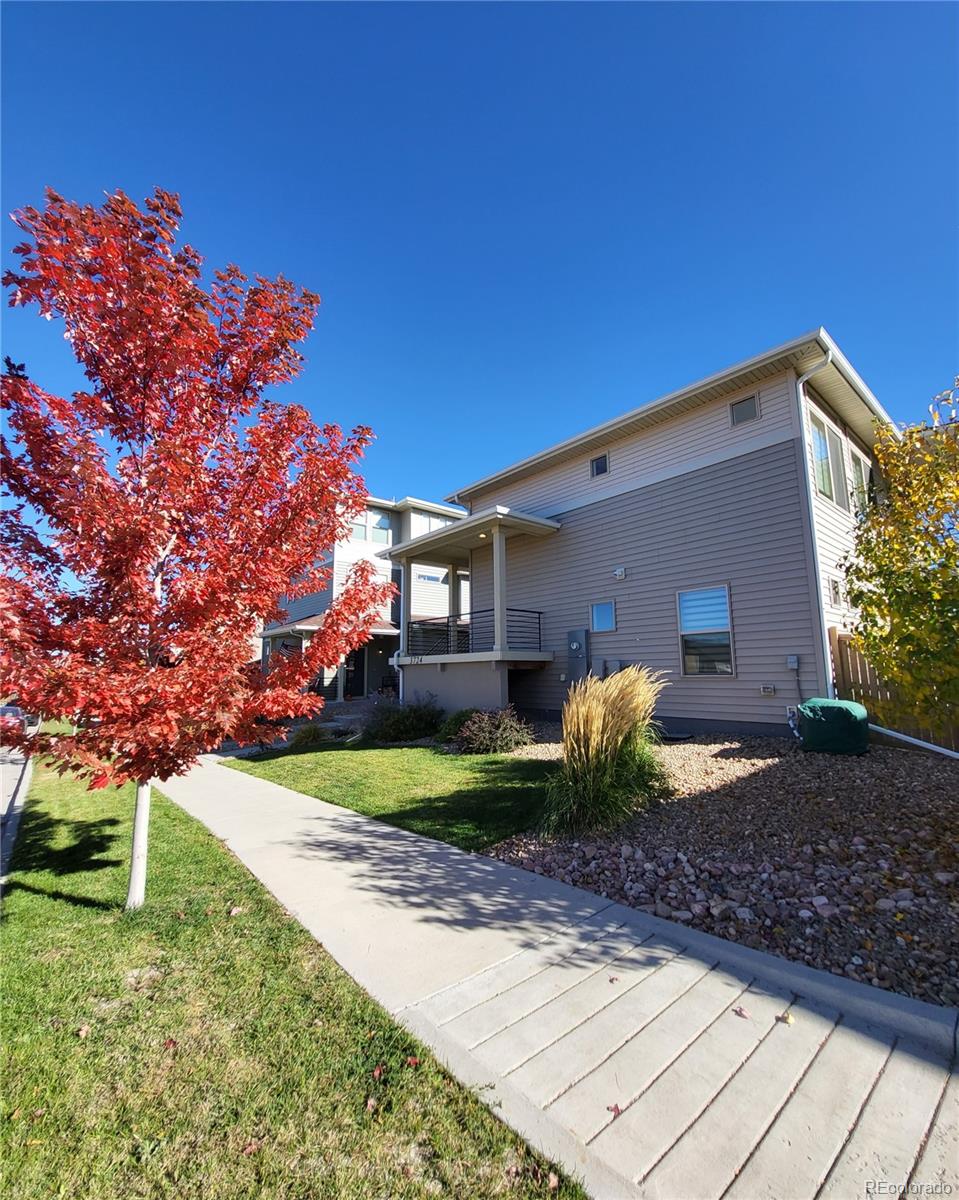 MLS Image #24 for 3724  celestial avenue,castle rock, Colorado