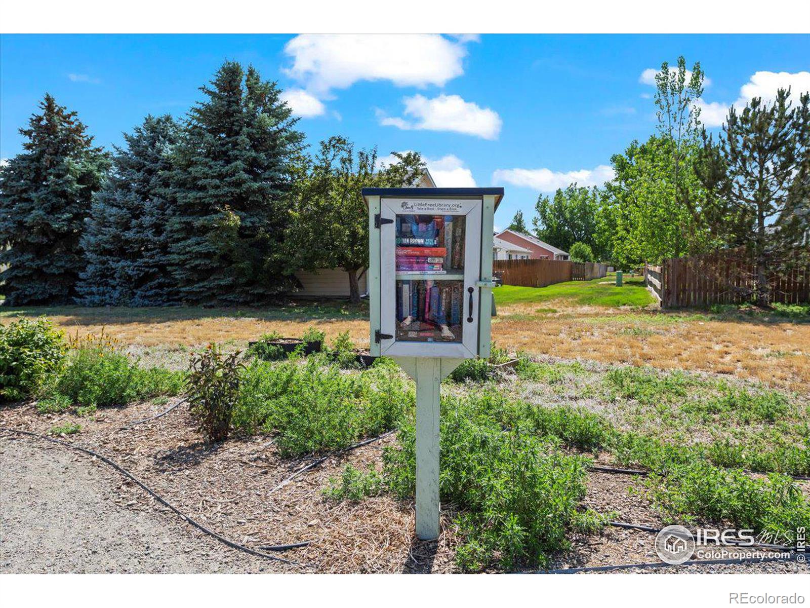 MLS Image #21 for 4014  berwick lane,fort collins, Colorado