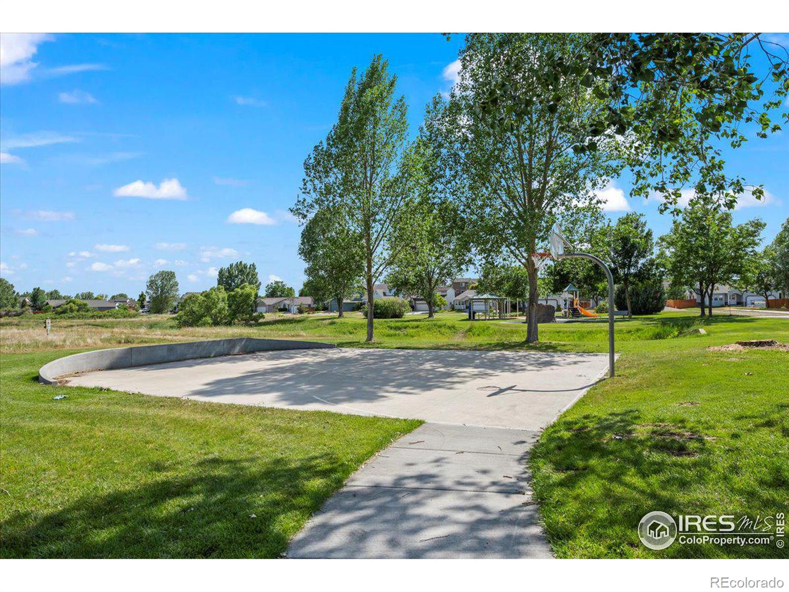 MLS Image #22 for 4014  berwick lane,fort collins, Colorado