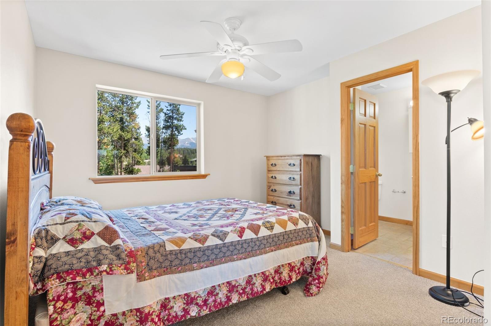 MLS Image #18 for 811  ermine lane,fraser, Colorado