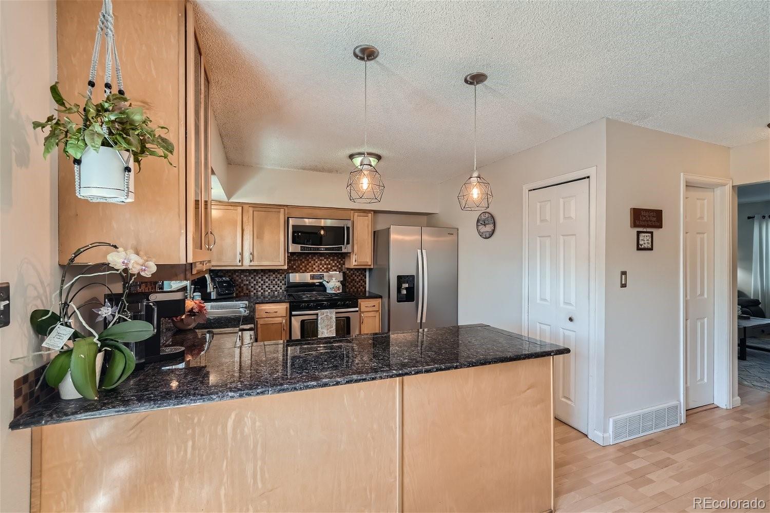 MLS Image #9 for 4669 s lowell boulevard,denver, Colorado