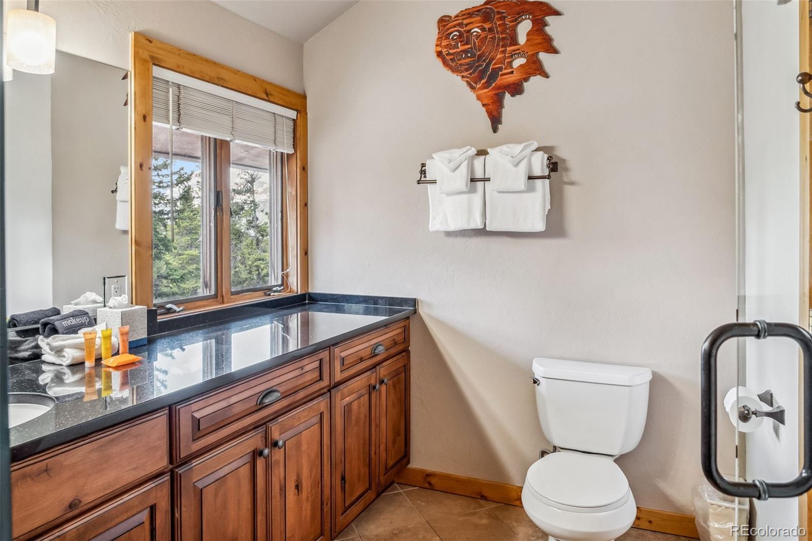 MLS Image #29 for 52 n fuller placer road,breckenridge, Colorado