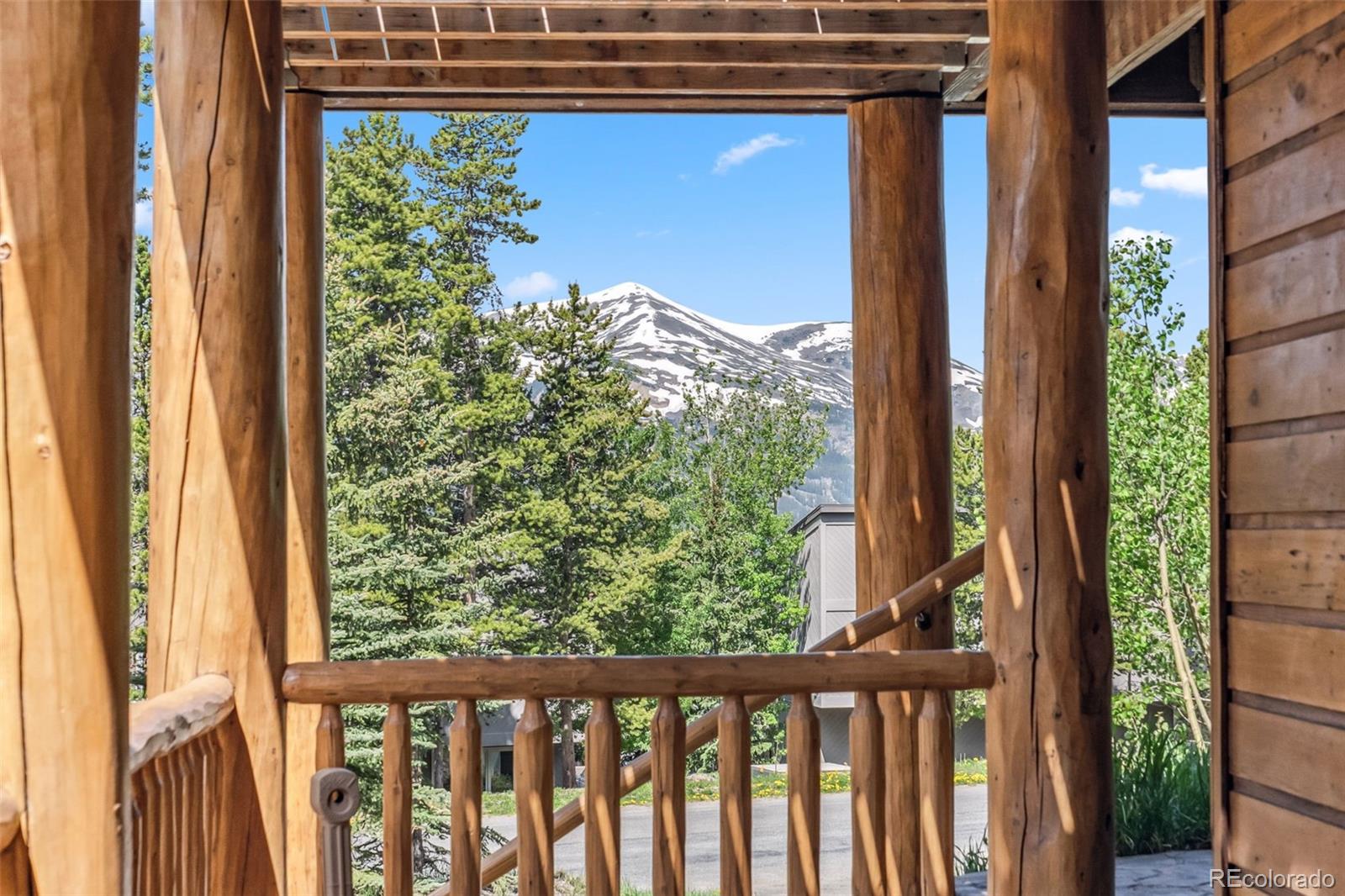 MLS Image #41 for 52 n fuller placer road,breckenridge, Colorado