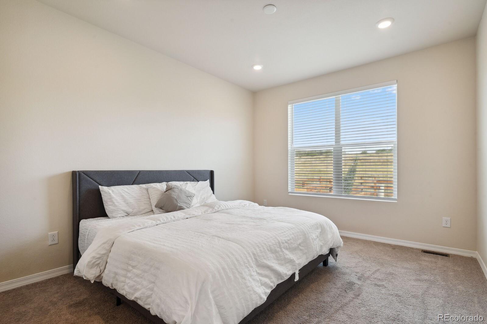 MLS Image #16 for 5690  heathland terrace,colorado springs, Colorado
