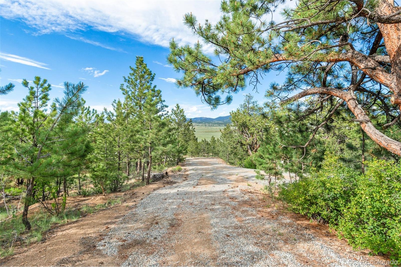 MLS Image #8 for 456  oxford drive,hartsel, Colorado