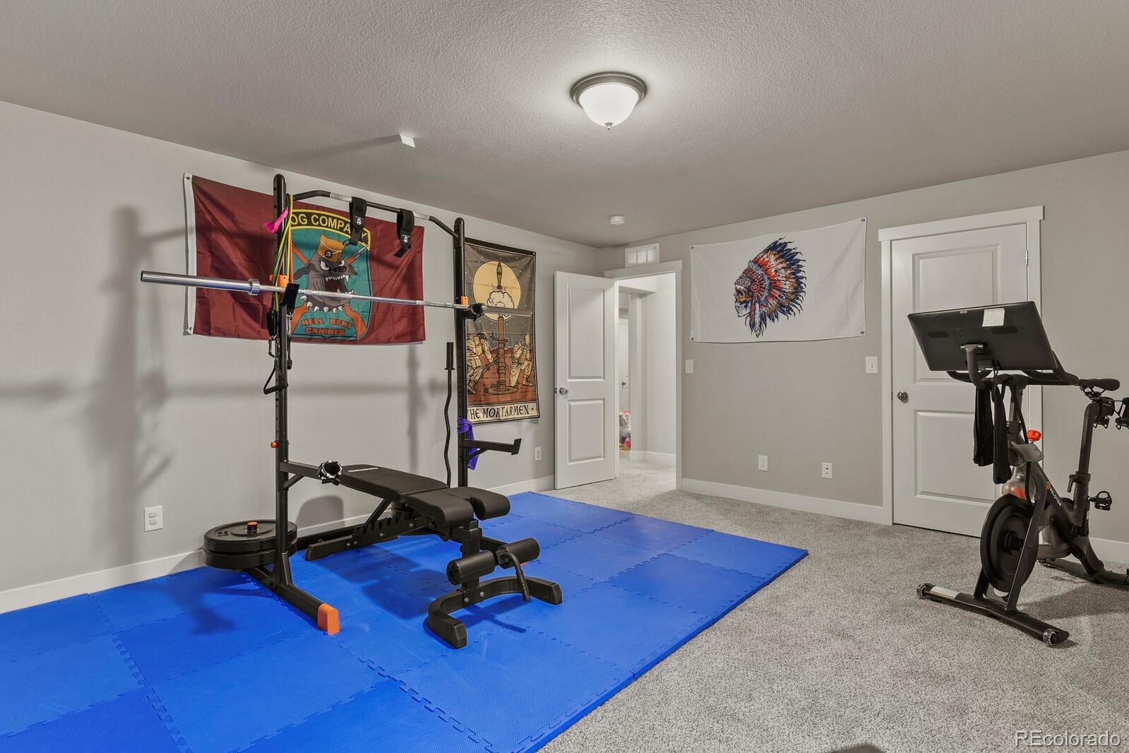 MLS Image #26 for 2555  tempest drive,colorado springs, Colorado