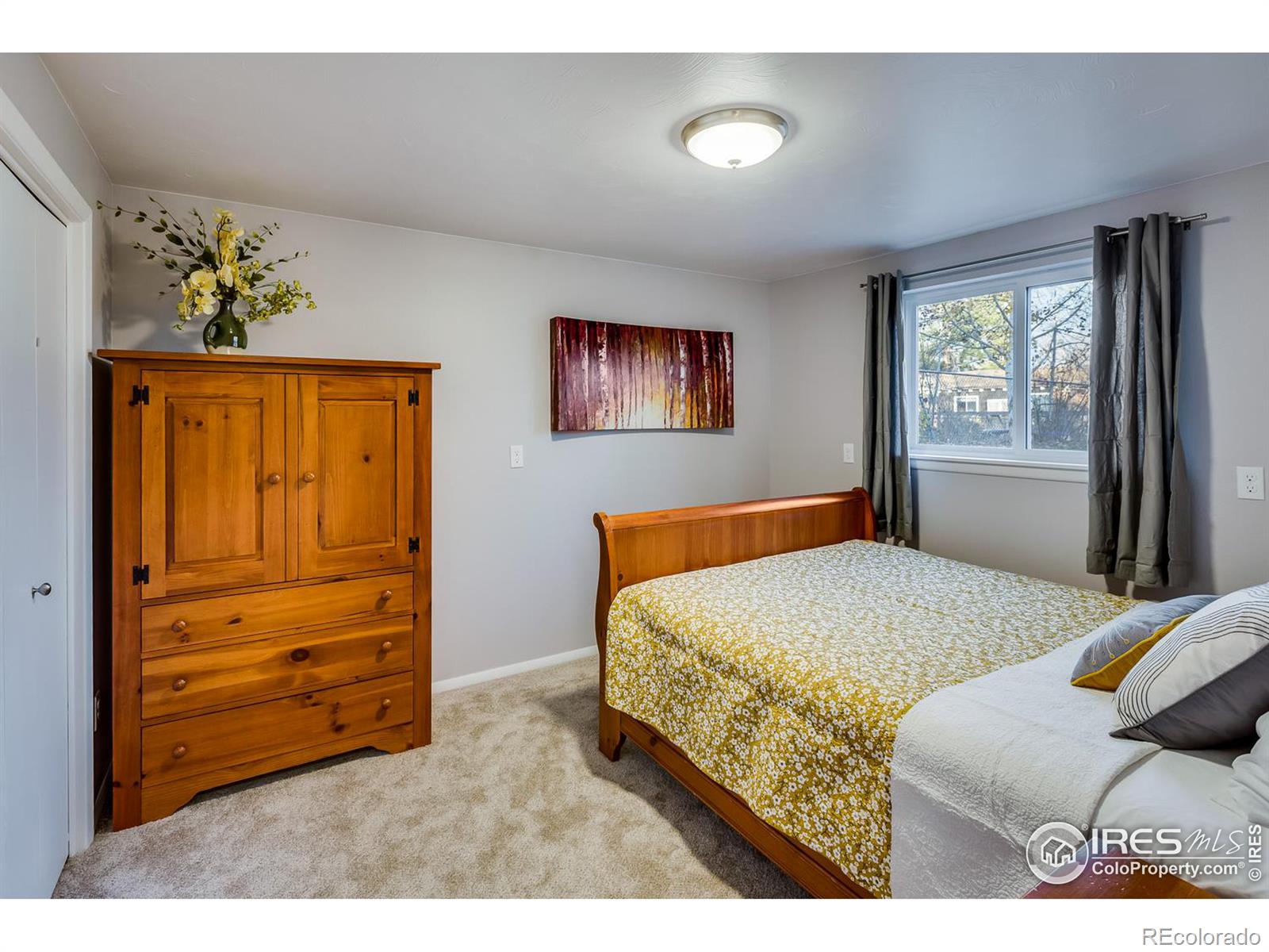 MLS Image #12 for 1136  frontier drive,longmont, Colorado