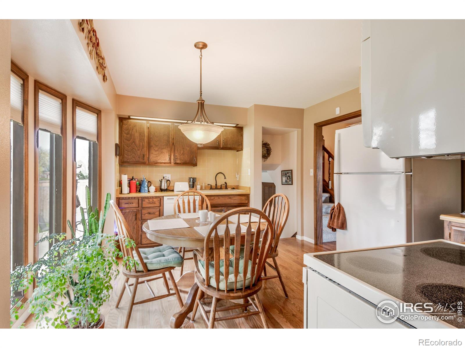 MLS Image #12 for 1308  horizon lane,longmont, Colorado