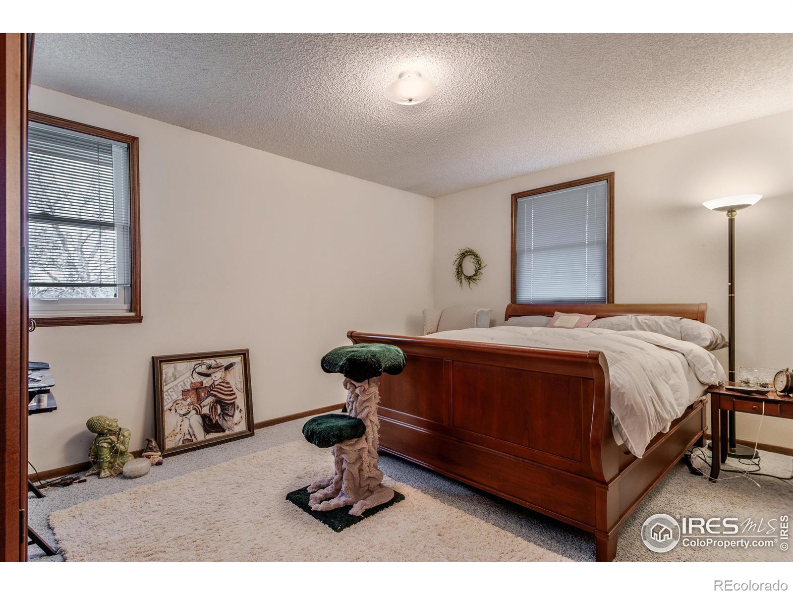 MLS Image #20 for 1308  horizon lane,longmont, Colorado