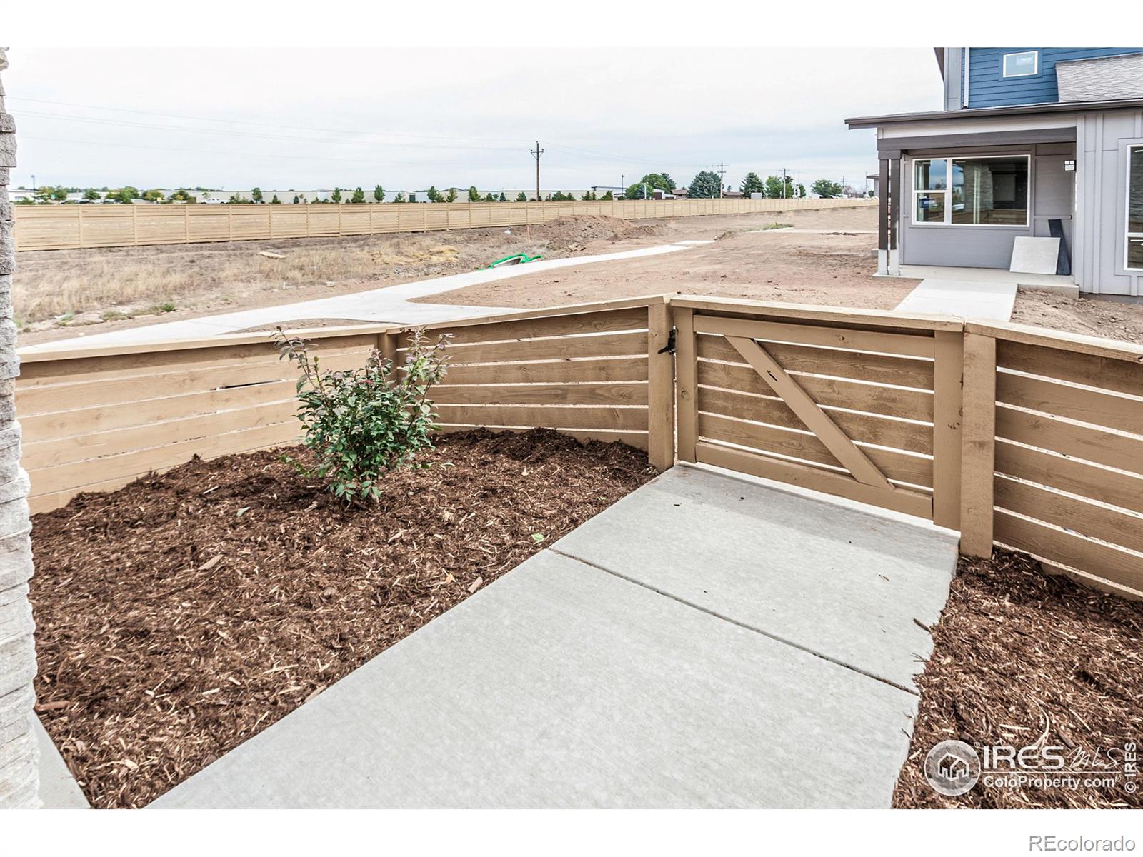 MLS Image #4 for 5024  mckinnon court,timnath, Colorado
