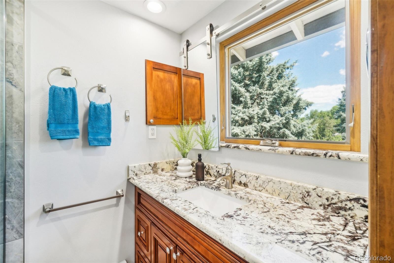 MLS Image #20 for 11103 w 27th avenue,lakewood, Colorado