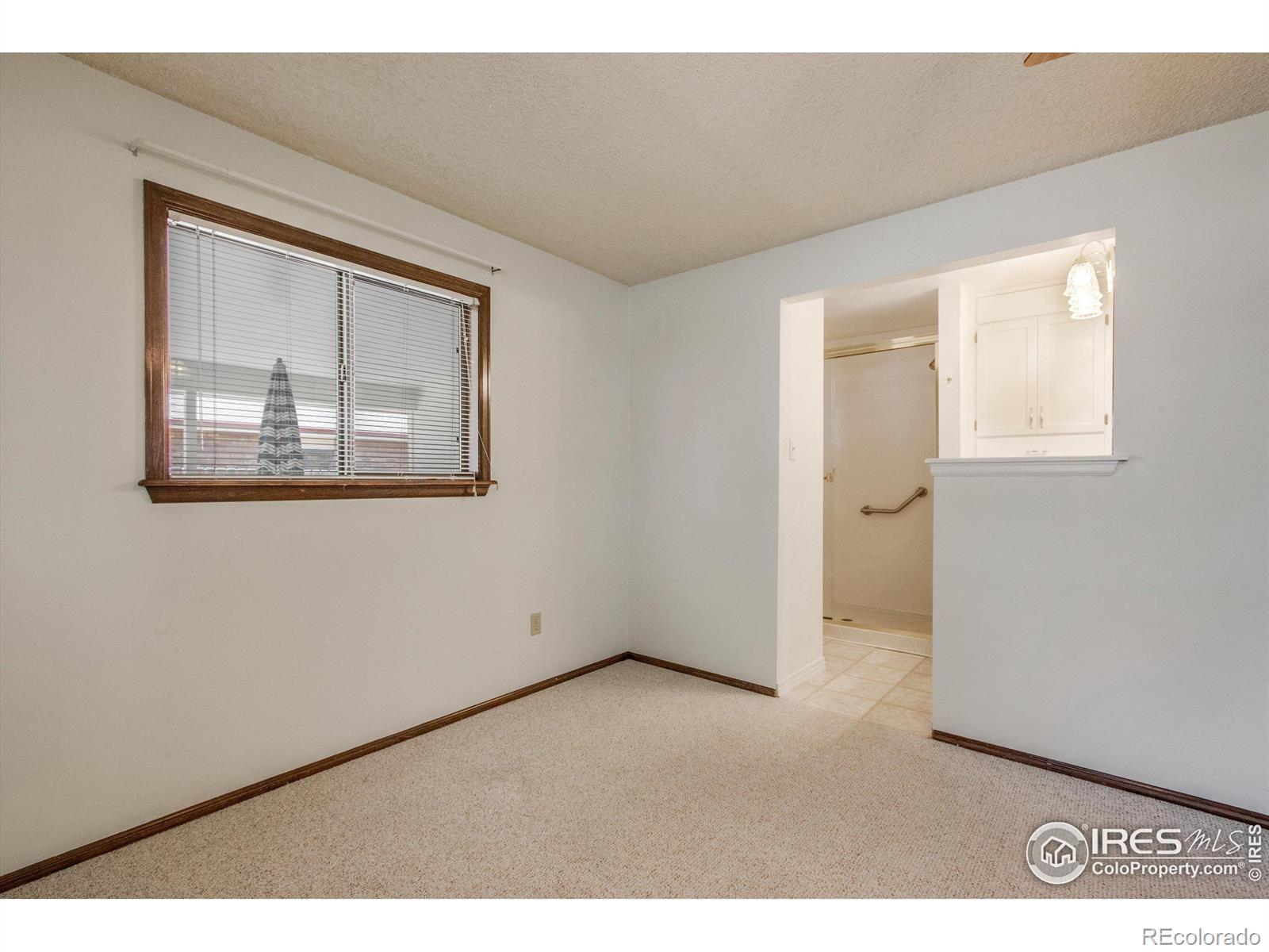 MLS Image #20 for 1559  juniper street,longmont, Colorado