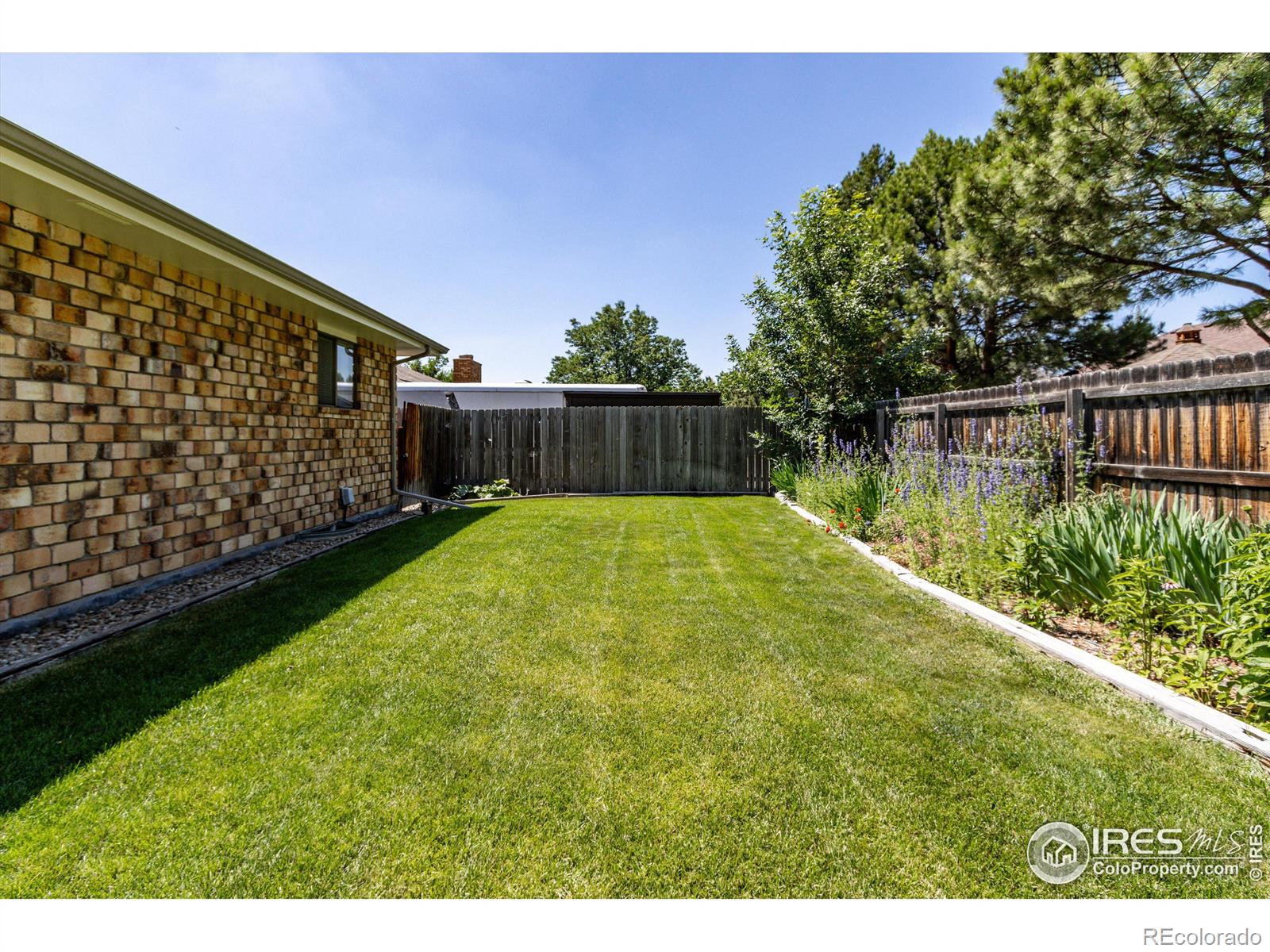 MLS Image #36 for 1559  juniper street,longmont, Colorado