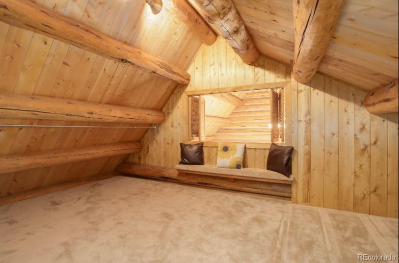 MLS Image #18 for 144  nova drive,pine, Colorado