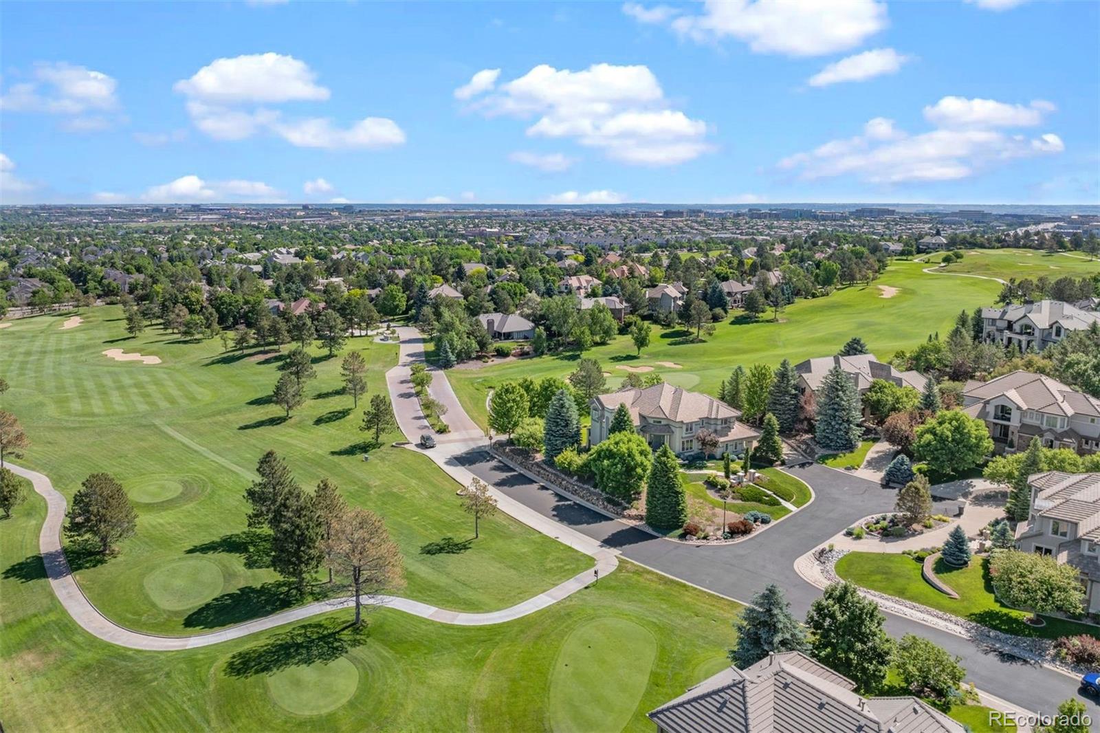 MLS Image #45 for 10104  stoneglen trail,lone tree, Colorado