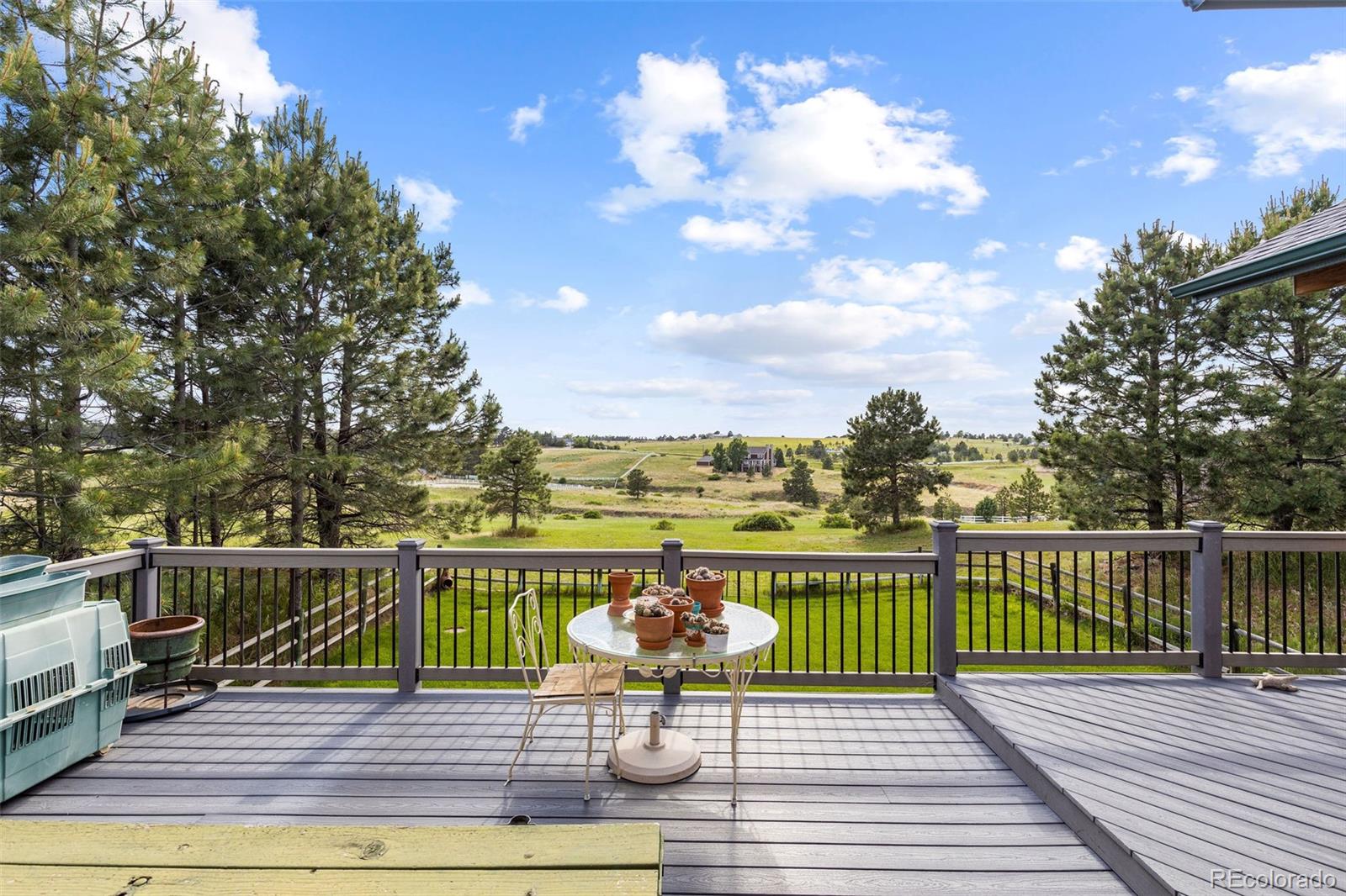 MLS Image #1 for 306  andrea circle,parker, Colorado