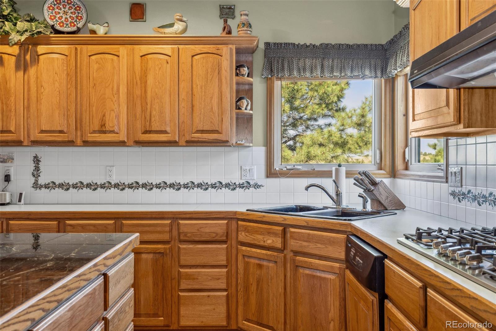 MLS Image #19 for 306  andrea circle,parker, Colorado