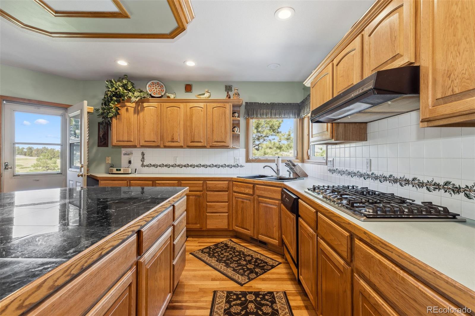 MLS Image #20 for 306  andrea circle,parker, Colorado