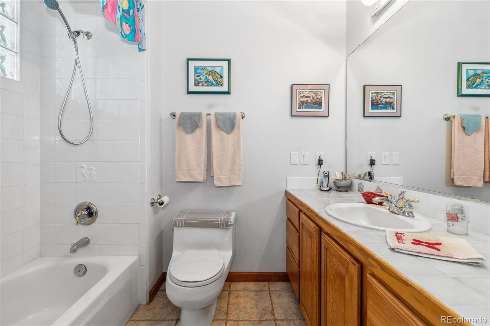 MLS Image #24 for 306  andrea circle,parker, Colorado