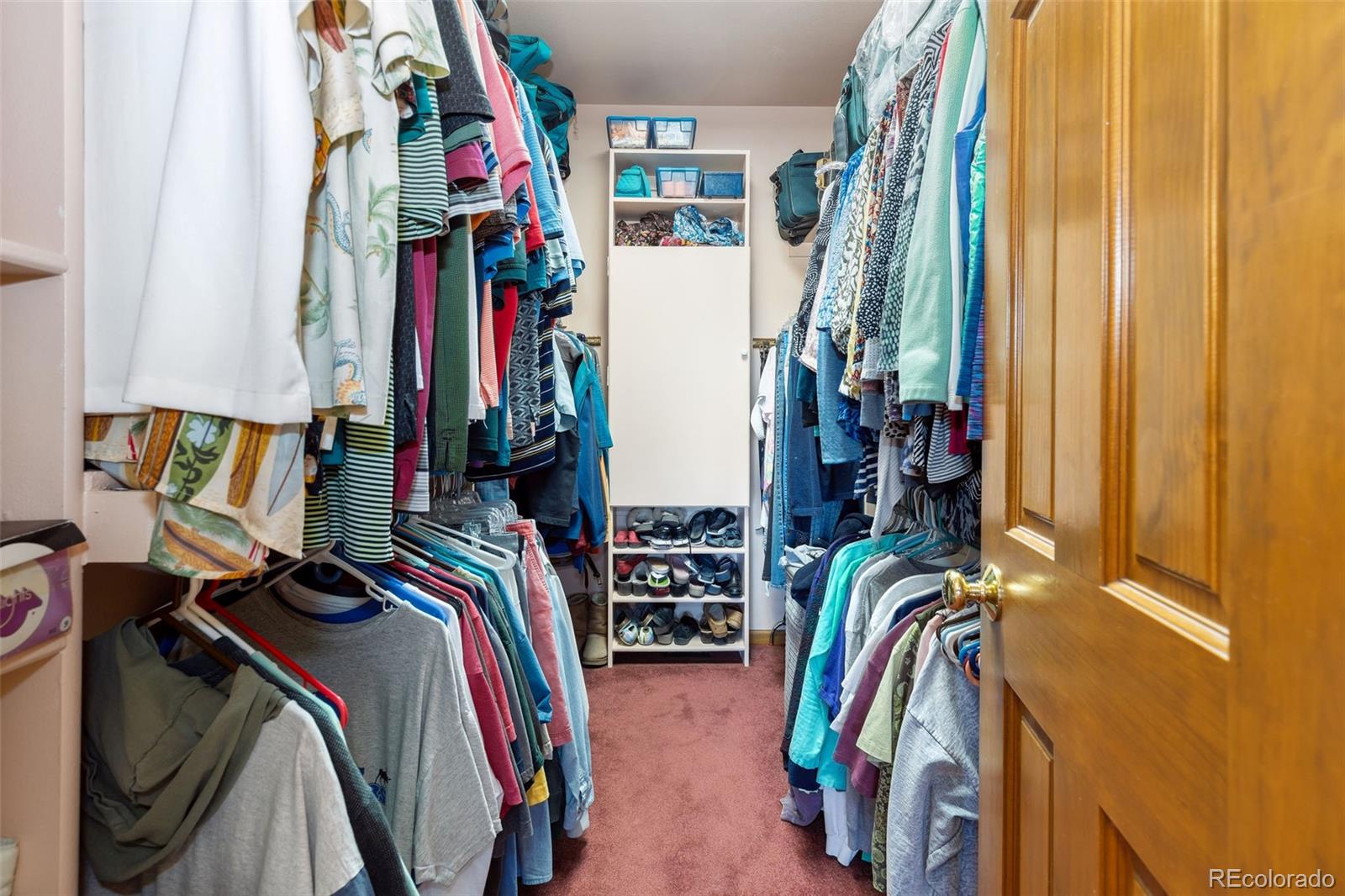MLS Image #29 for 306  andrea circle,parker, Colorado