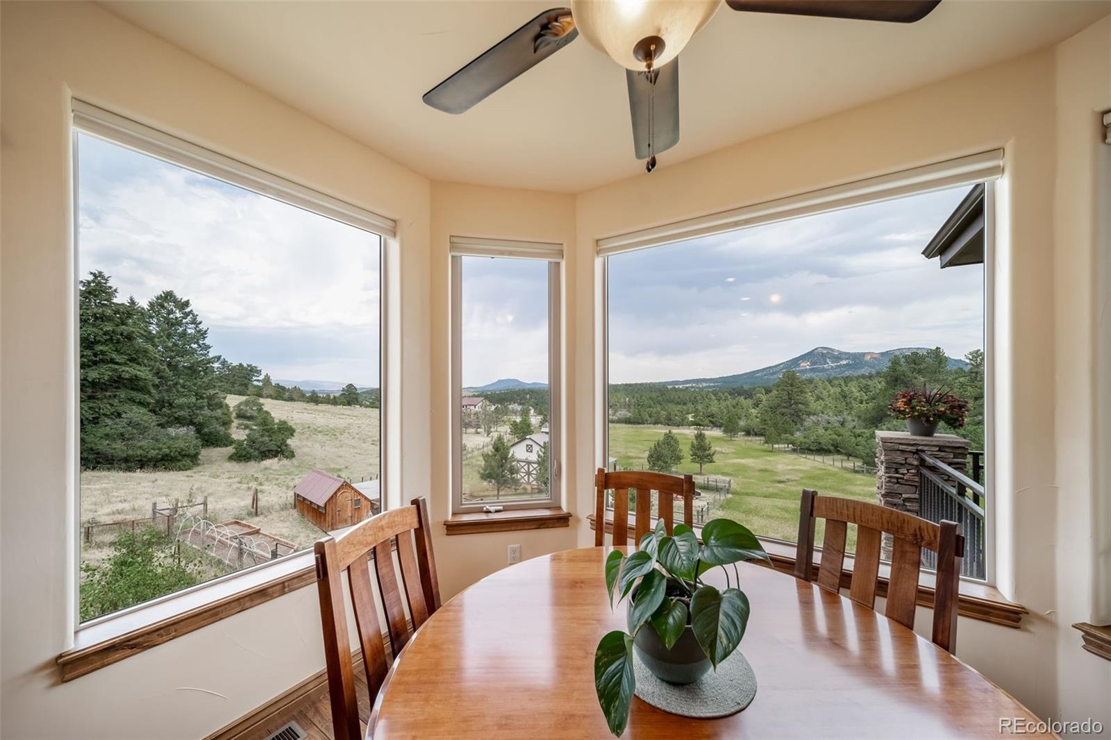 MLS Image #14 for 2359  valley park drive,larkspur, Colorado