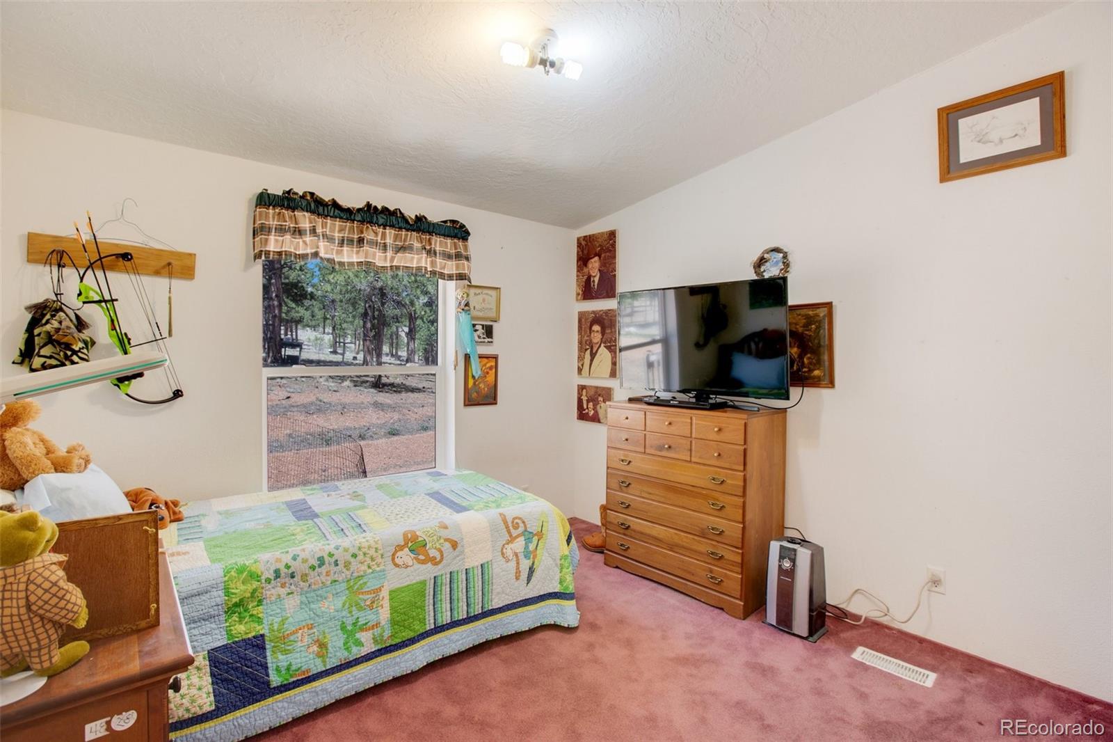 MLS Image #20 for 10199  cr-98 ,florissant, Colorado