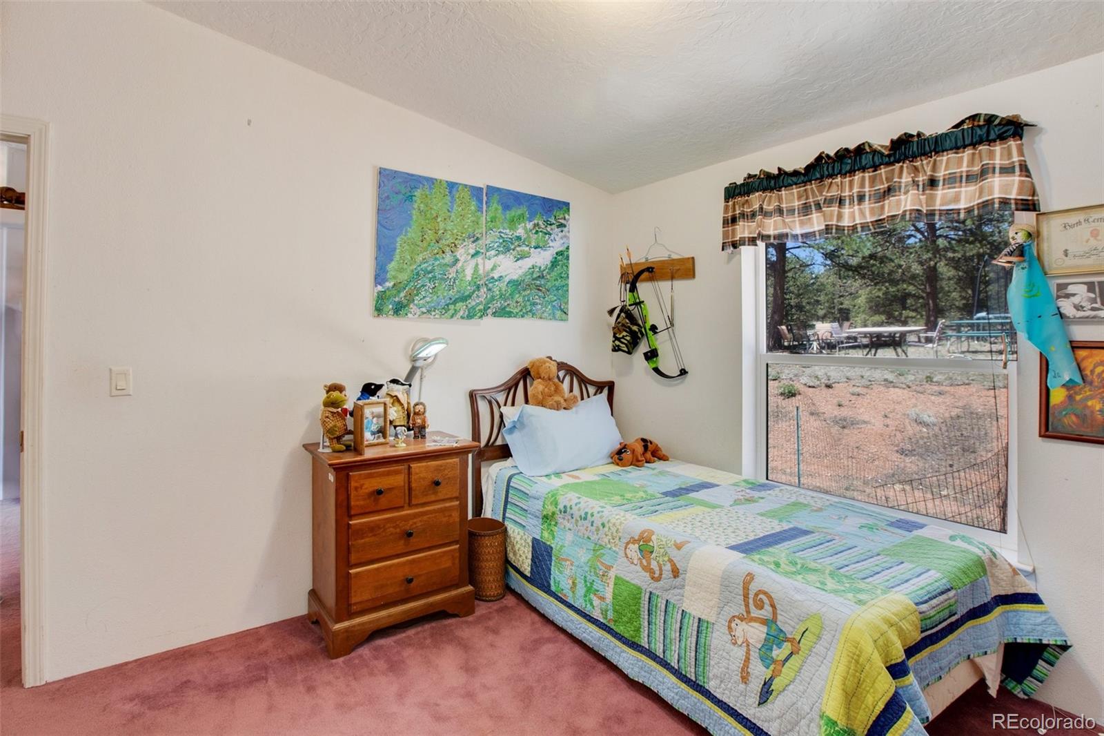 MLS Image #21 for 10199  cr-98 ,florissant, Colorado