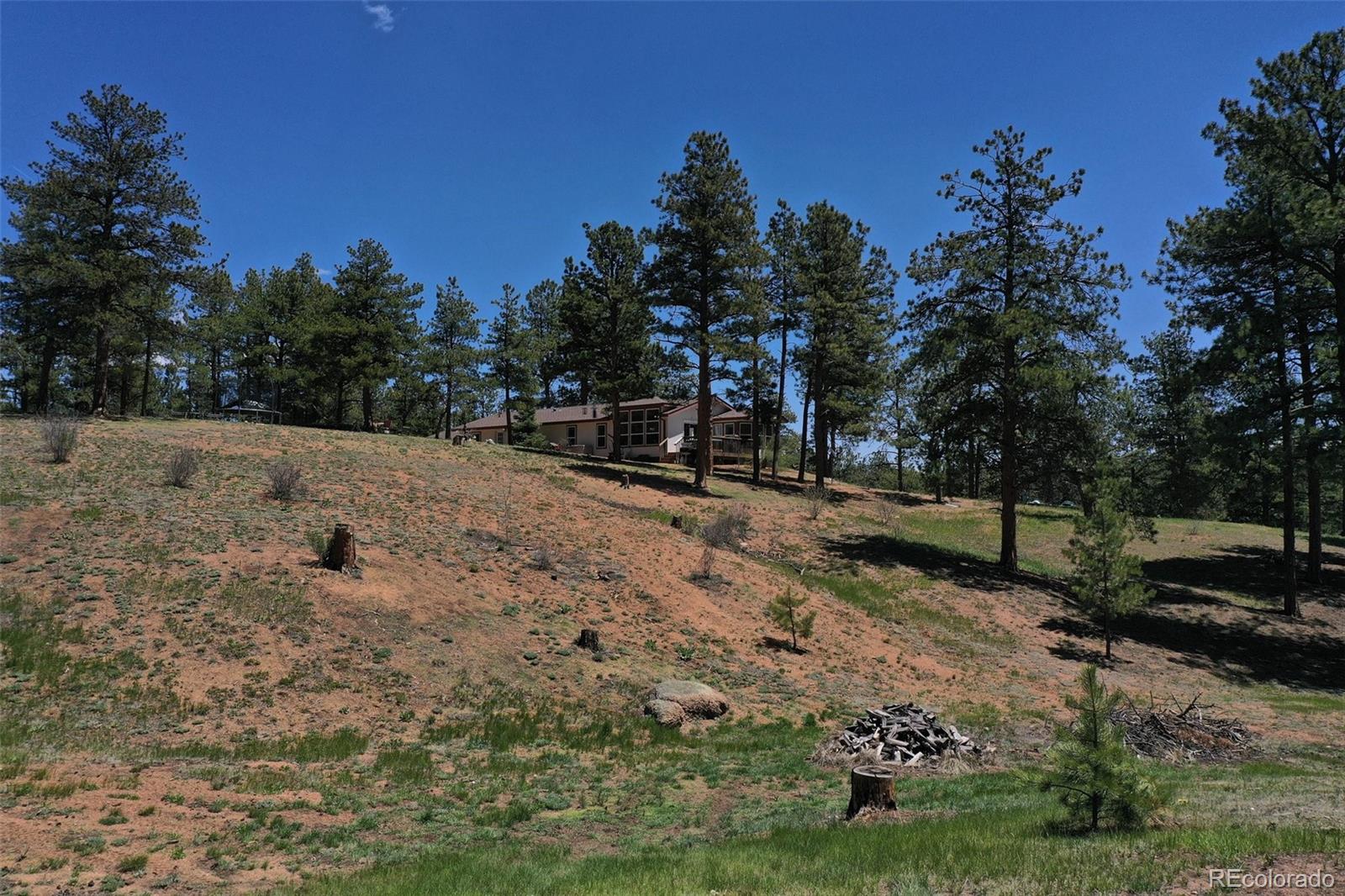 MLS Image #28 for 10199  cr-98 ,florissant, Colorado