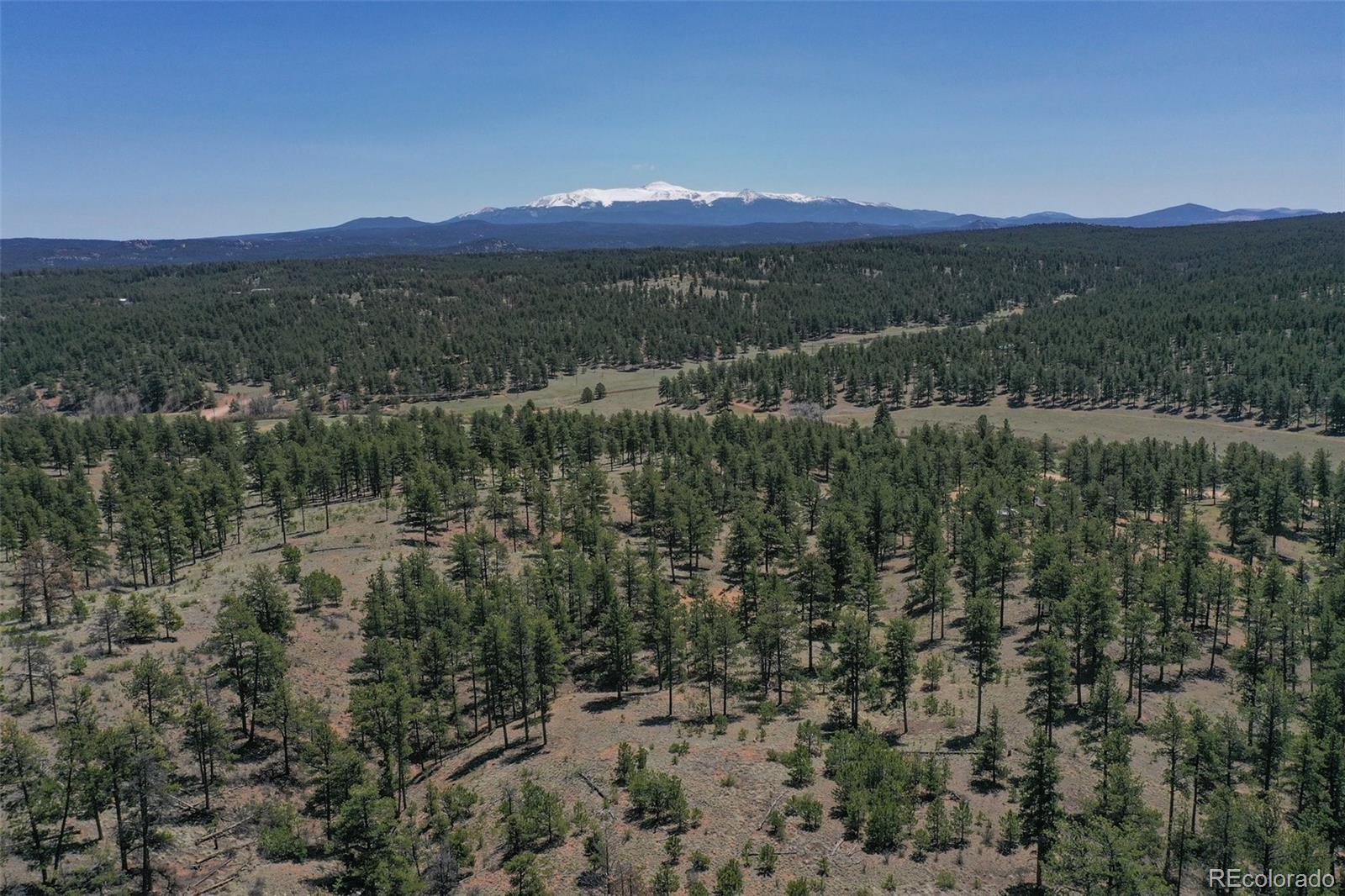 MLS Image #33 for 10199  cr-98 ,florissant, Colorado