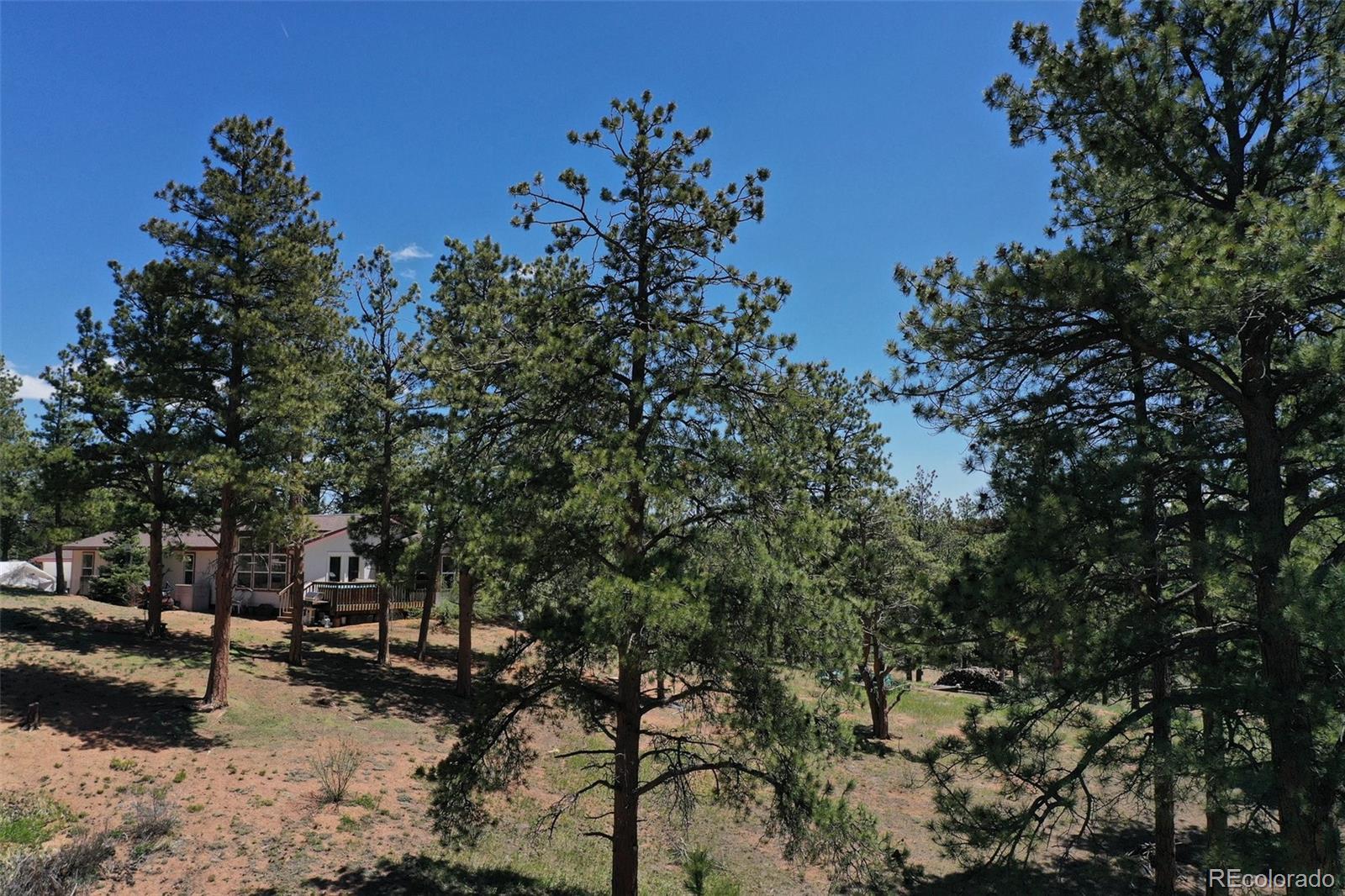 MLS Image #37 for 10199  cr-98 ,florissant, Colorado